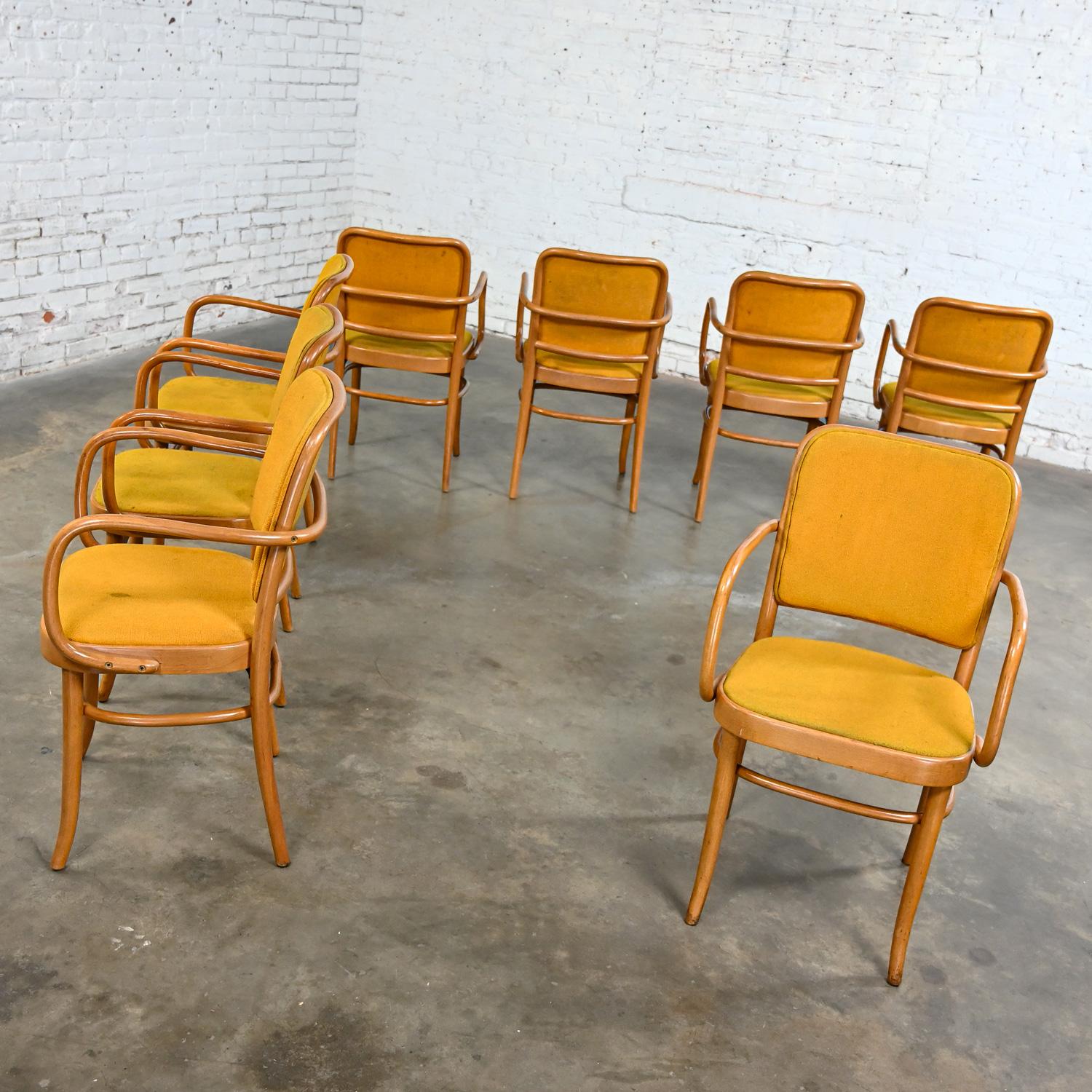 8 gebogene Bauhaus-Esszimmerstühle aus Buche und Bugholz J Hoffman Prag 811 im Stil Thonet (Stoff) im Angebot