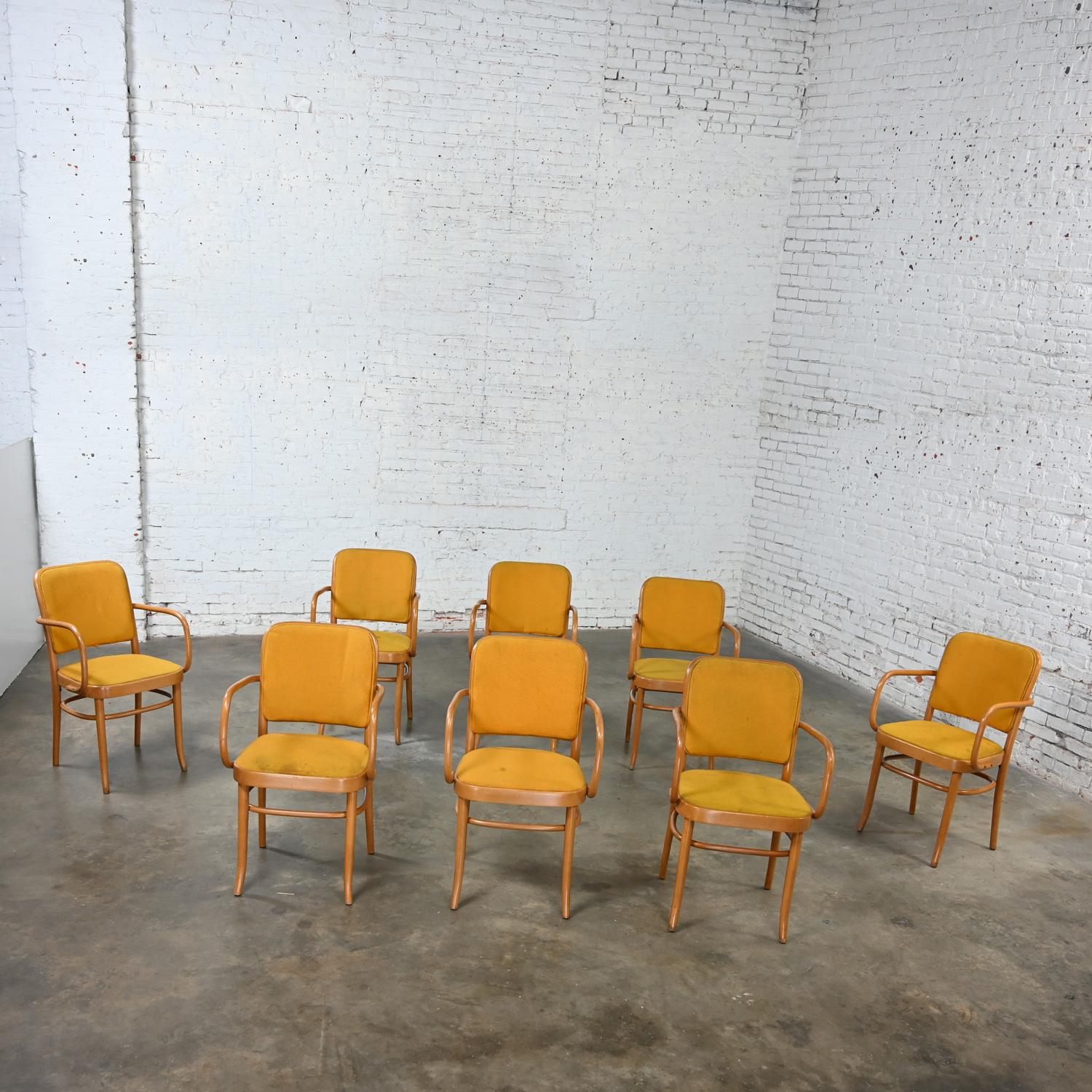 8 gebogene Bauhaus-Esszimmerstühle aus Buche und Bugholz J Hoffman Prag 811 im Stil Thonet im Angebot 1
