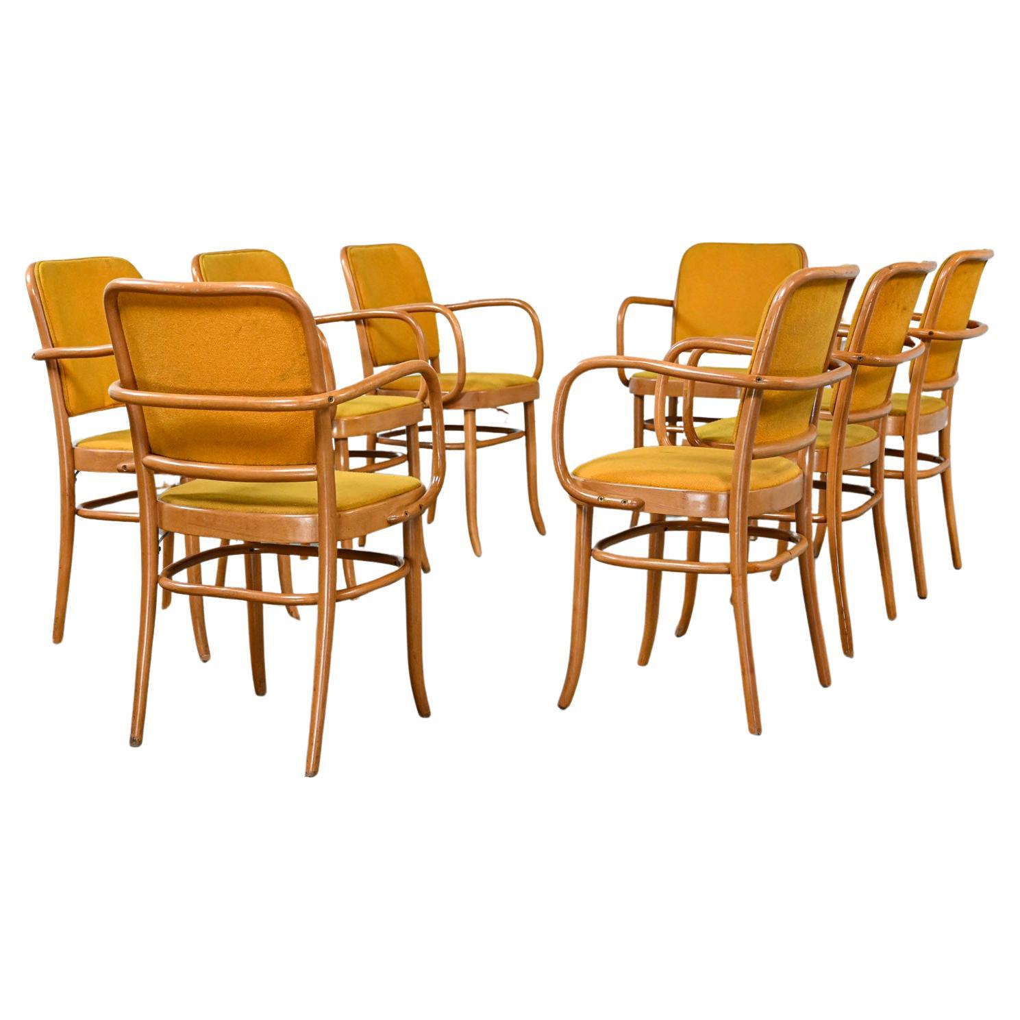 8 chaises de salle à manger Bauhaus en hêtre courbé J Hoffman Prague 811 style Thonet en vente
