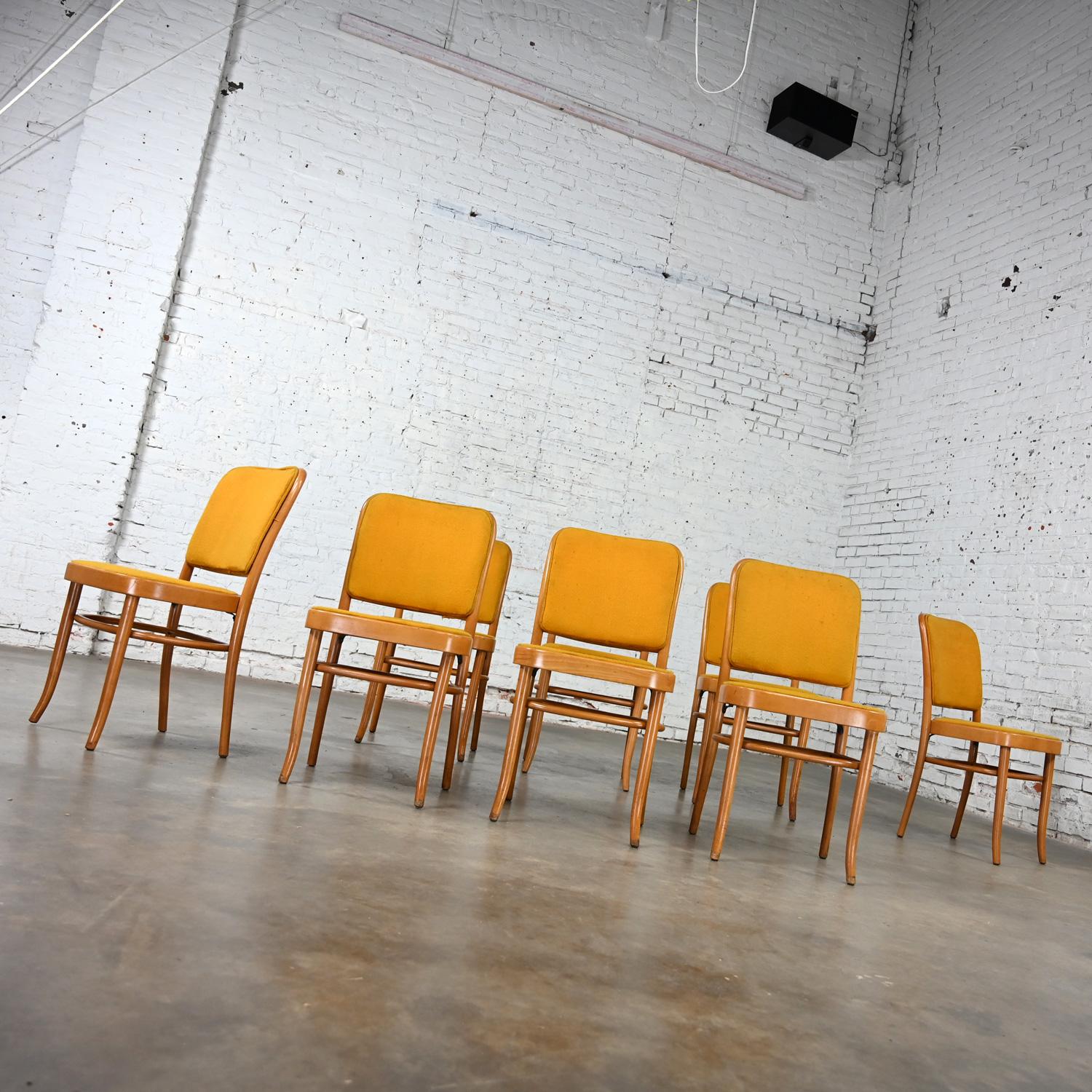 8 chaises de salle à manger Bauhaus sans accoudoirs Hoffman Prague 811 style Thonet Bon état - En vente à Topeka, KS