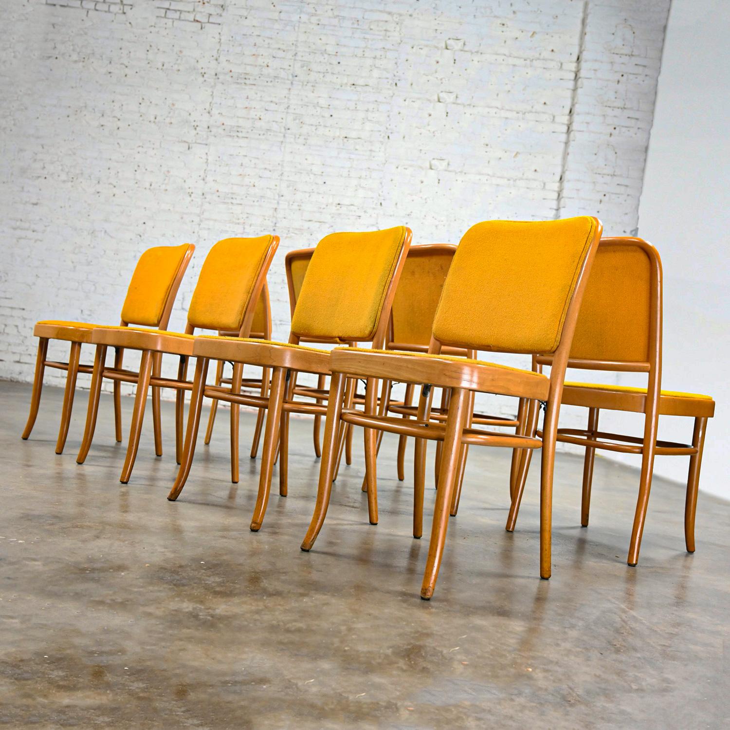 8 Armless Bauhaus Beech Bentwood Hoffman Prague 811 Dining Chairs Style Thonet For Sale 1