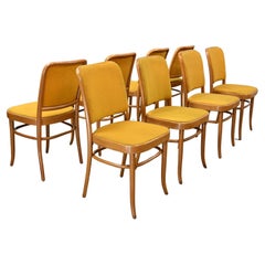 8 Armless Bauhaus Beech Bentwood Hoffman Prague 811 Dining Chairs Style Thonet