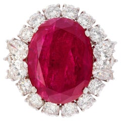 8 Carat Oval Statement Ruby Red 14K White Gold Radiant Elegance Heirloom