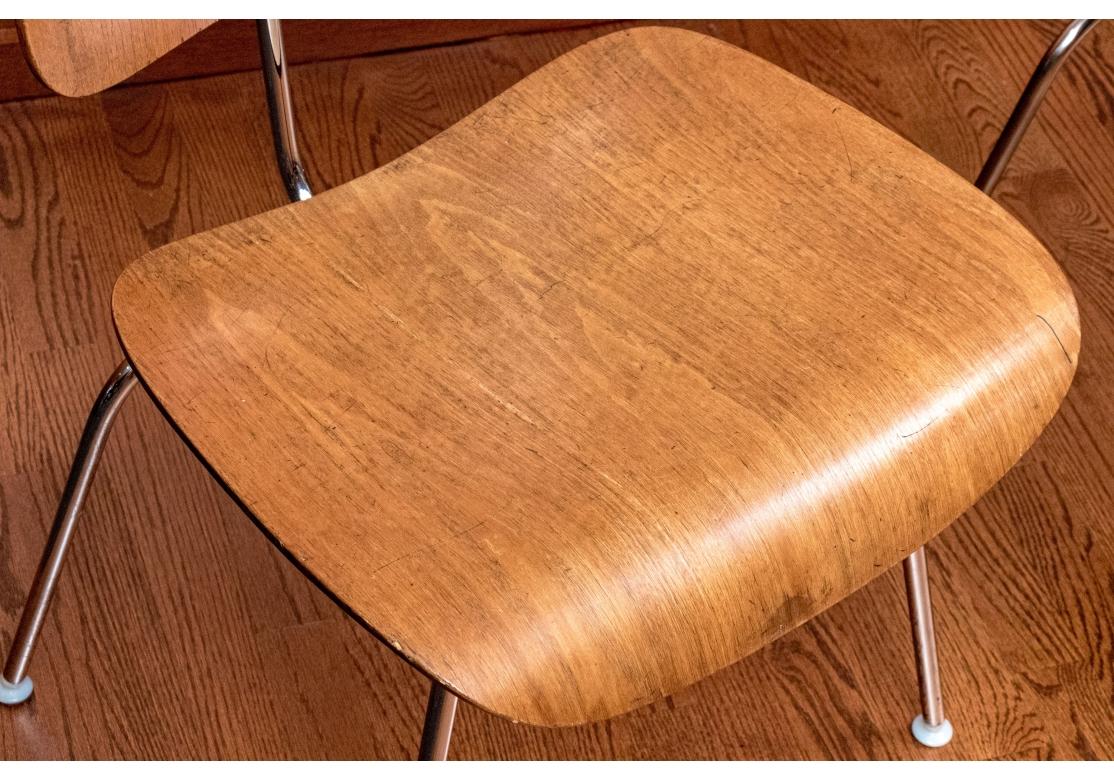 XX secolo 8 sedie da pranzo in legno di noce modellato di Ray and Ray Eames in vendita