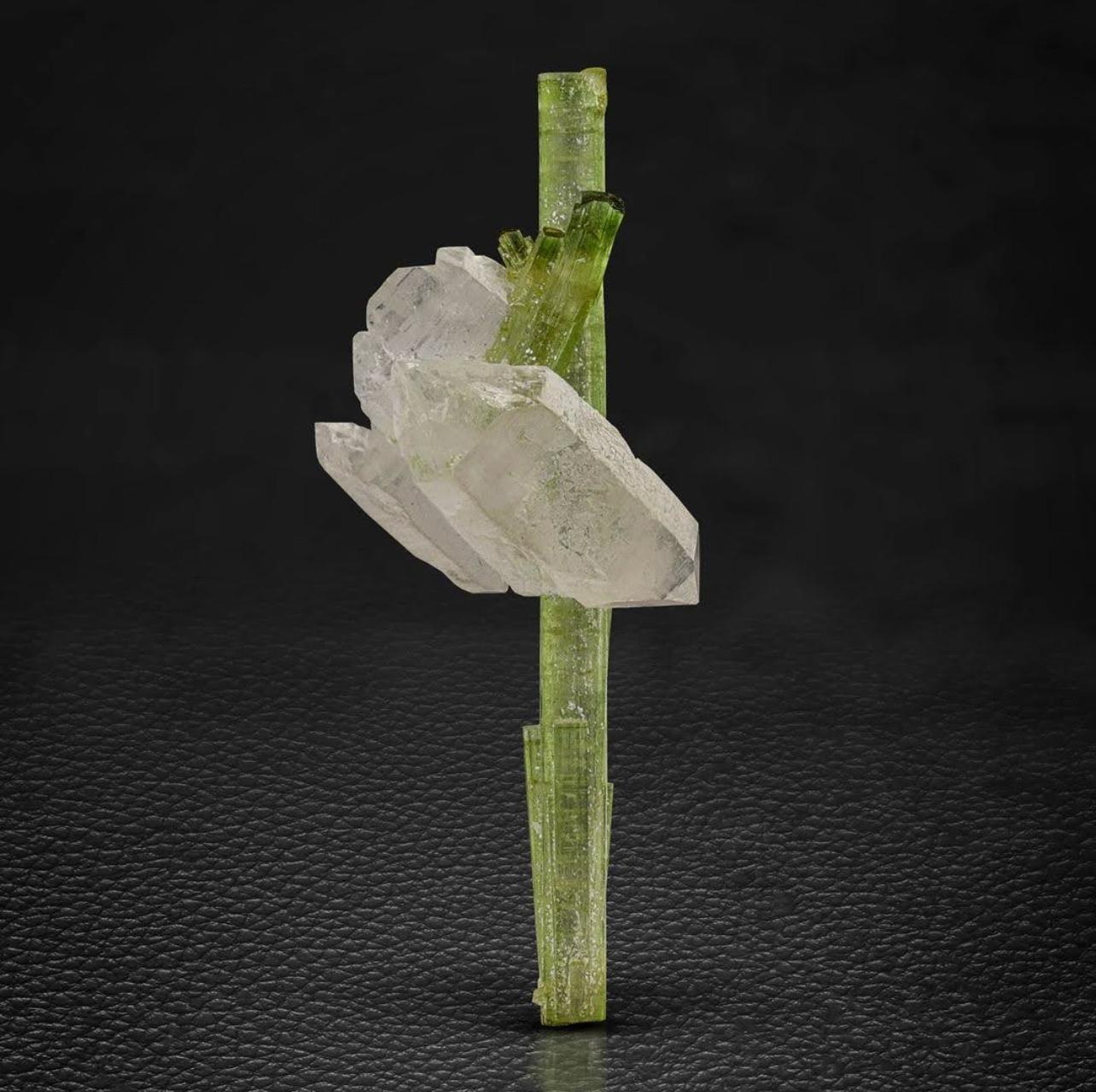 Informationen zum Produkt:

Name der Probe: Turmalin mit Quarz 

Gewicht: 8 Gramm

Abmessungen: H: 6 x B: 2,5 x T: 1 cm

Behandlung: Keine

Herkunft: Chappu-Mine, Shigar-Tal, Bezirk Skardu, Gilgit Baltistan, Pakistan

Beschreibung: 

Diese