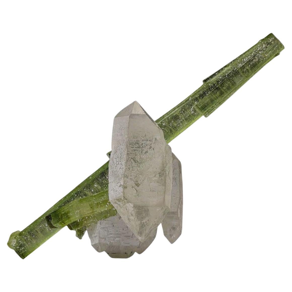 Combinaison sculpturale de tourmaline et de cristal de quartz du Pakistan, 8 grammes
