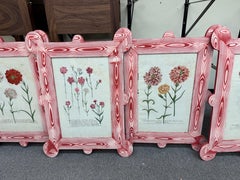 8 Johann Wilhelm Weinmann botanicals (1740-60) in hand painted matching frames
