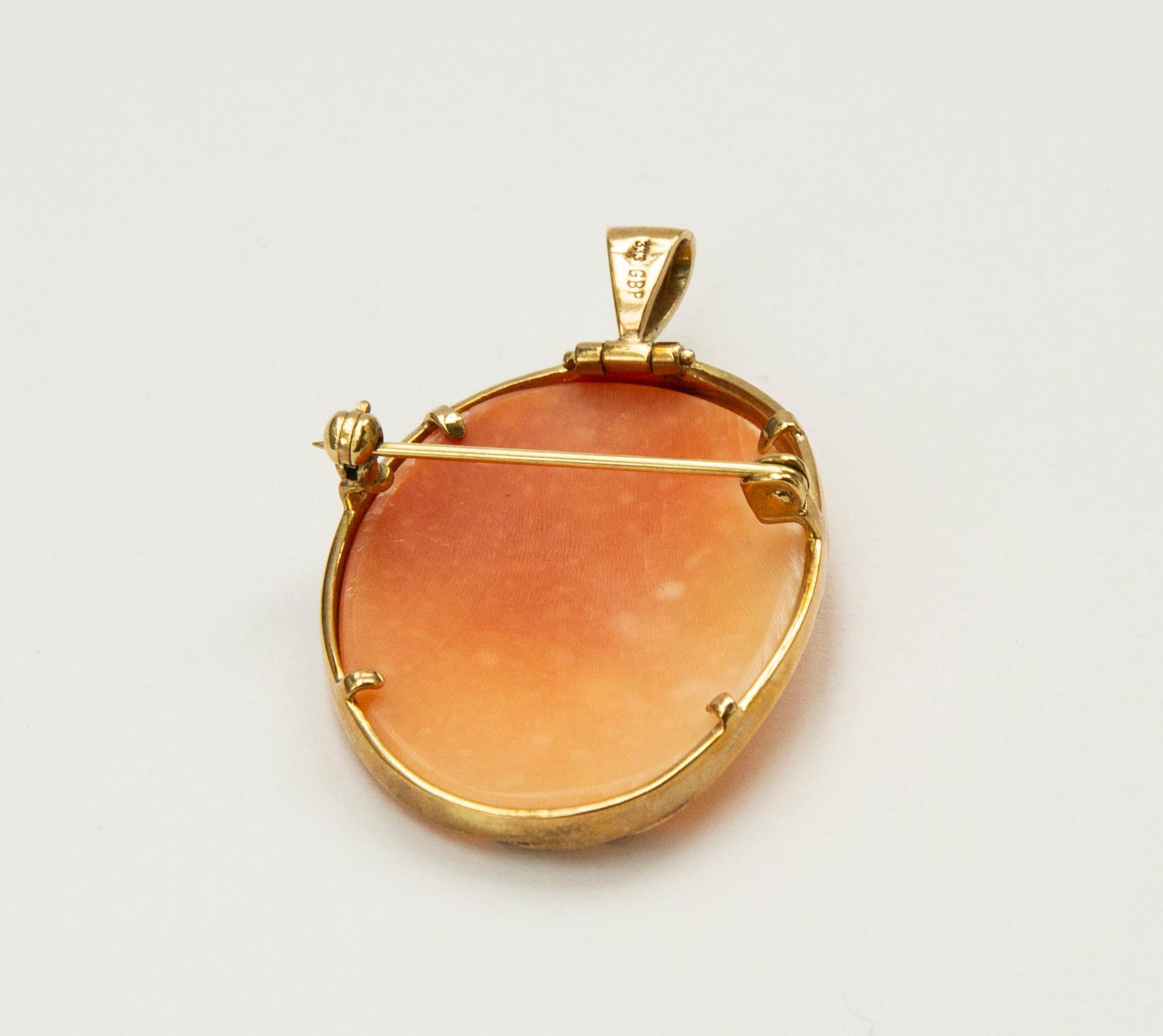 Women's or Men's 8 Karat Yellow Gold and Shell Cameo  Pendant / Brooch For Sale