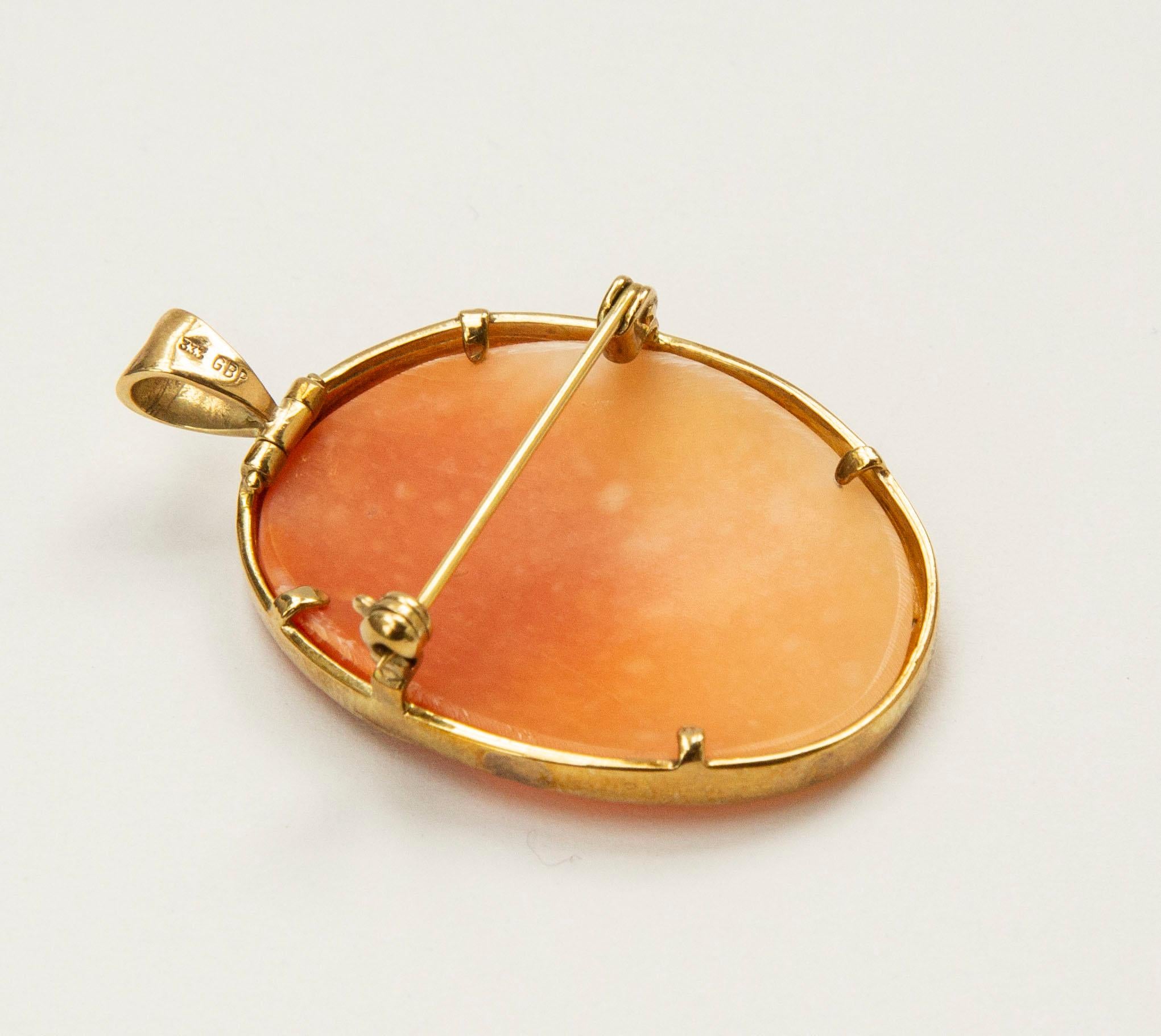 8 Karat Yellow Gold and Shell Cameo  Pendant / Brooch For Sale 2