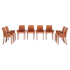 Used 8 leather Bottega dining chairs by Fauciglietti & Bianchi for Frag Italy