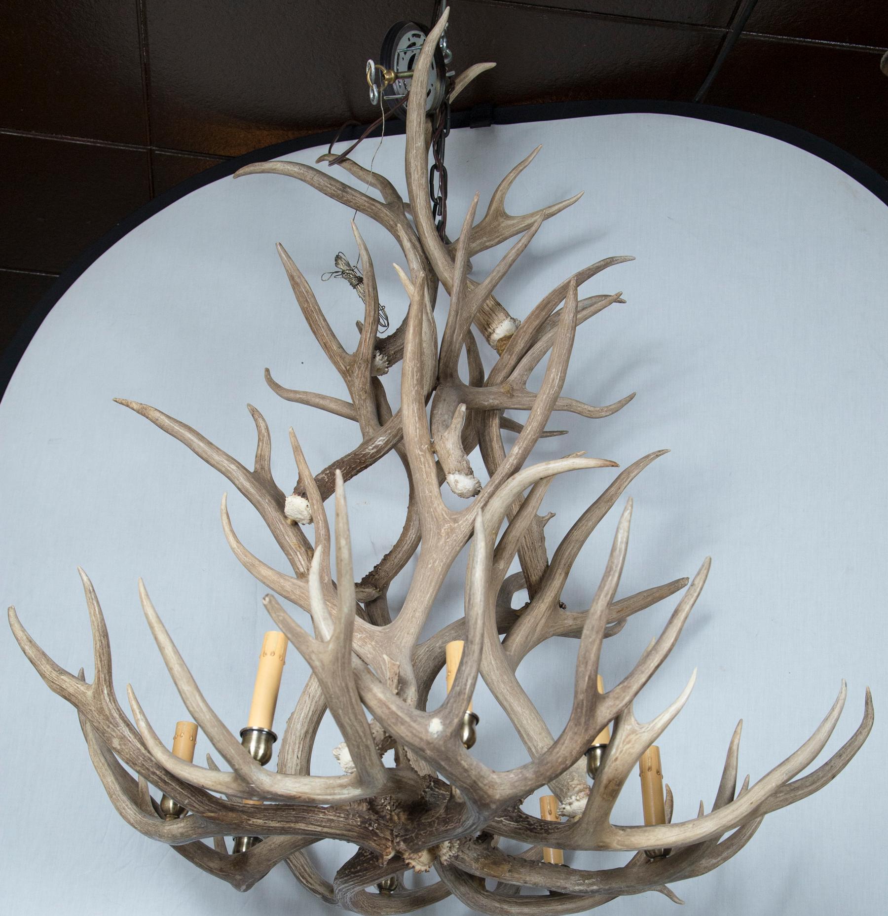 A large chandelier of intertwined elk (?) naturally shed antlers. Newly wired with 8 lights on the lowest tier. Each light with a brass candle cup attached to the antler, and with a paper, off white 