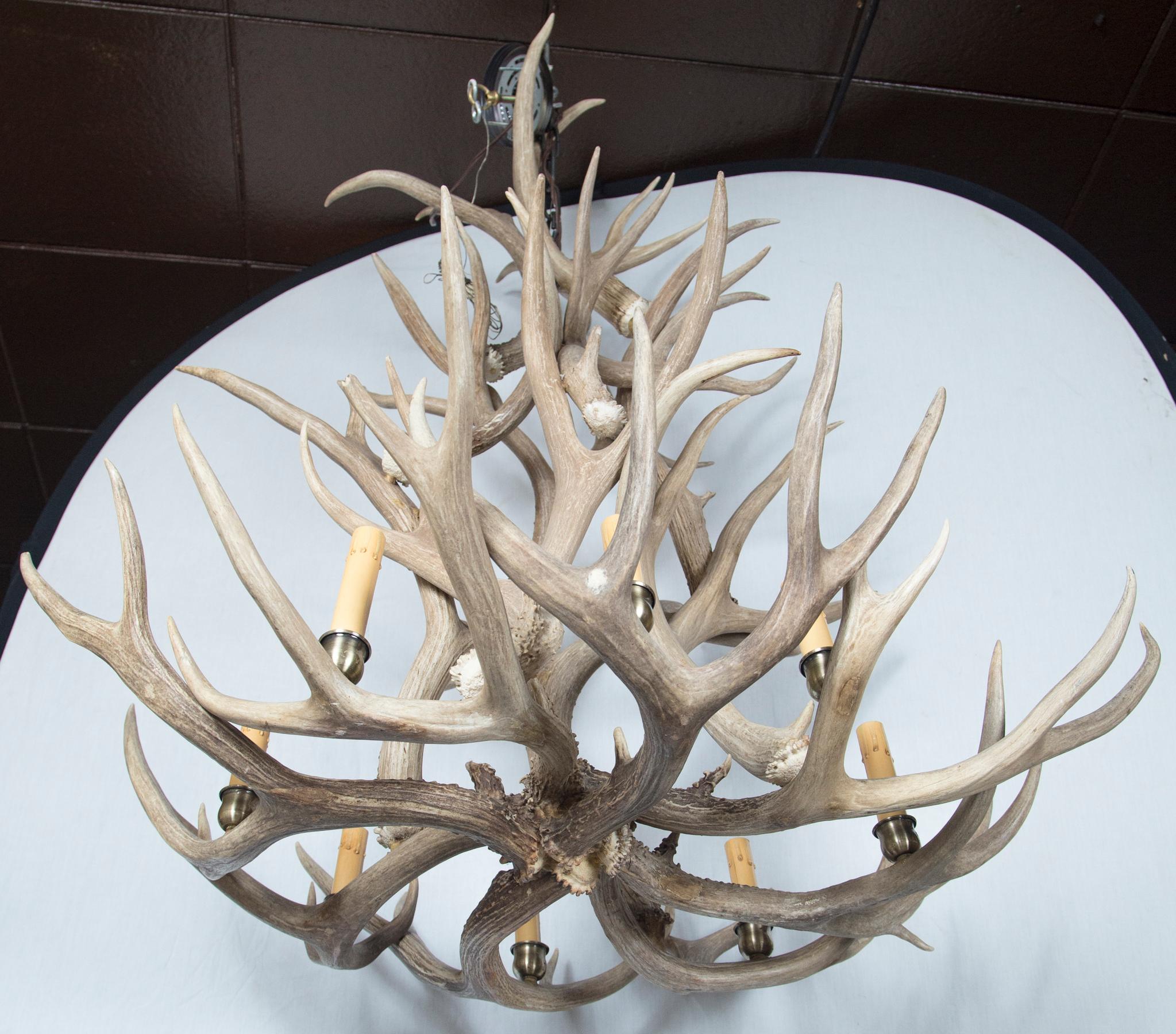 American 8-Light Antler Chandelier For Sale