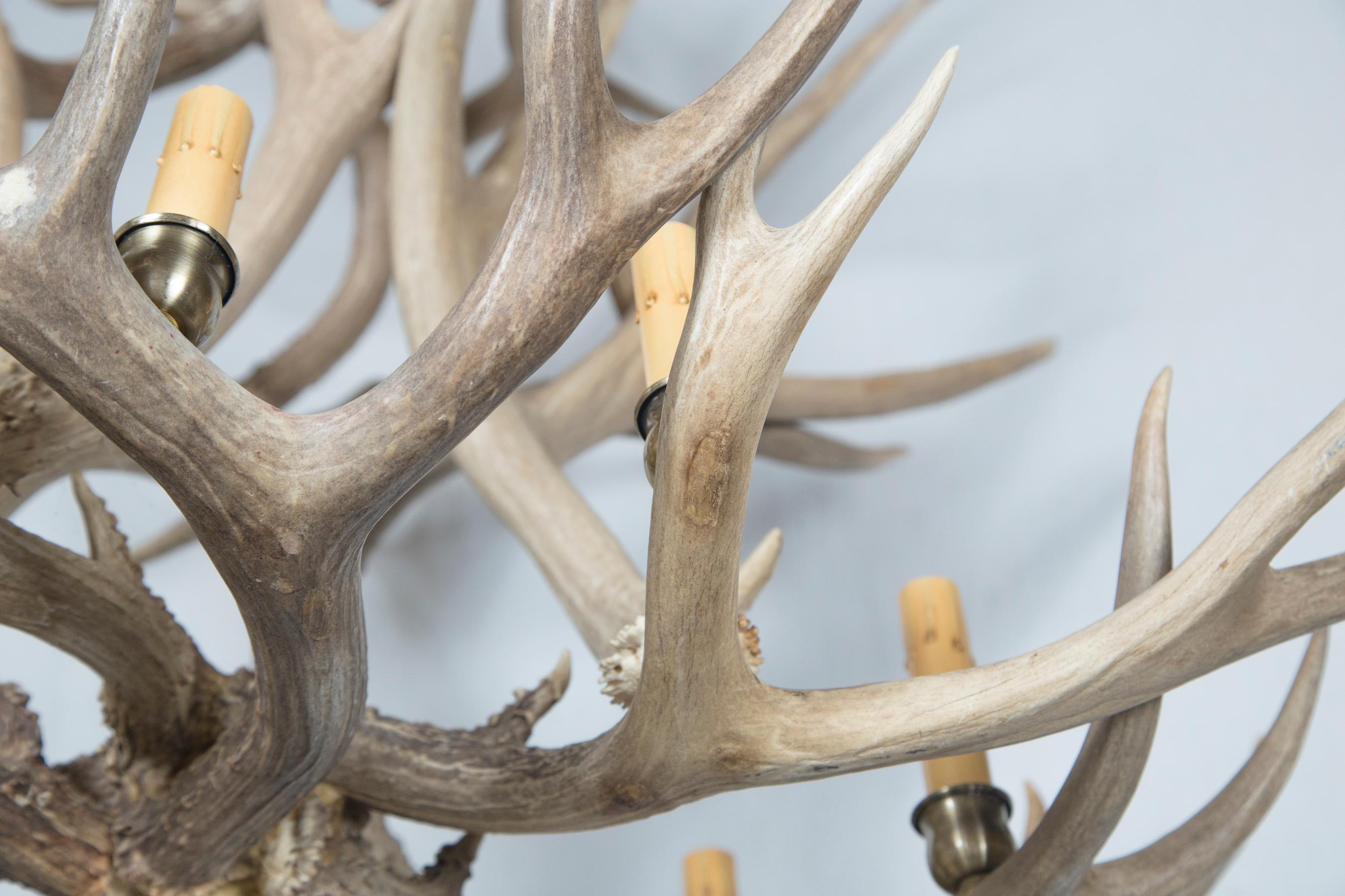 Hand-Crafted 8-Light Antler Chandelier For Sale