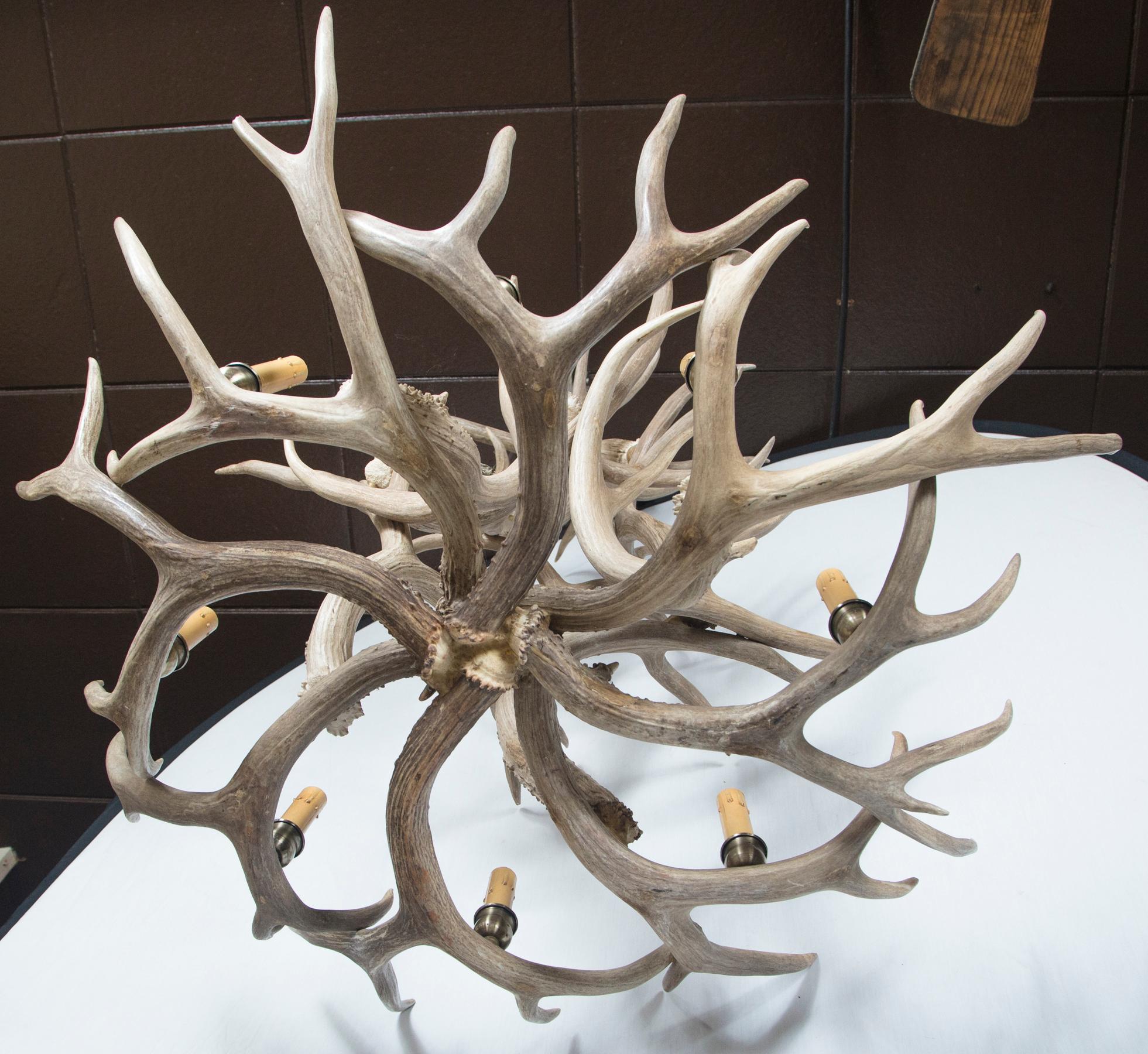 8-Light Antler Chandelier In Excellent Condition For Sale In Woodbury, CT