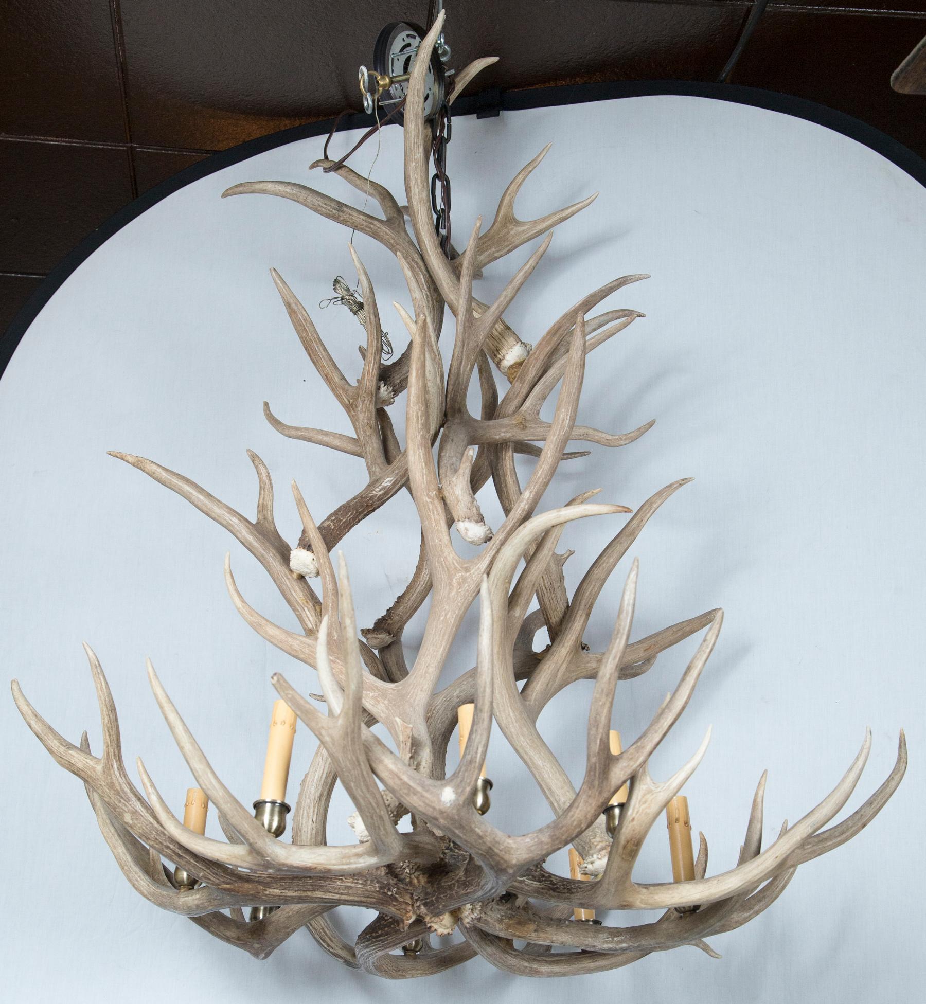 20th Century 8-Light Antler Chandelier For Sale
