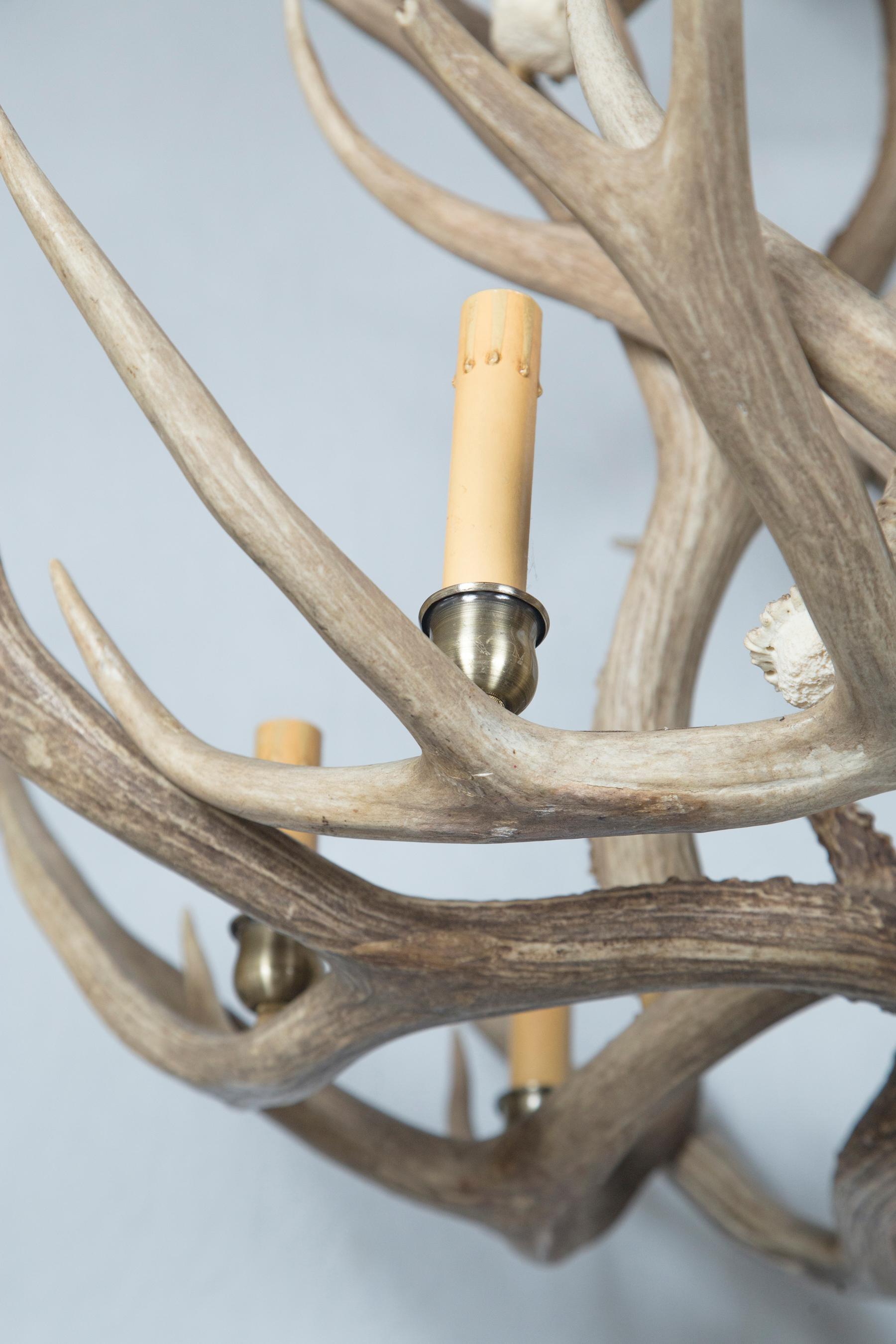 8-Light Antler Chandelier For Sale 1