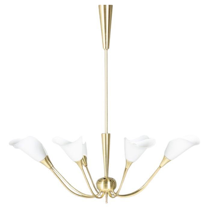 8-Light Pendant Lamp, 1950s