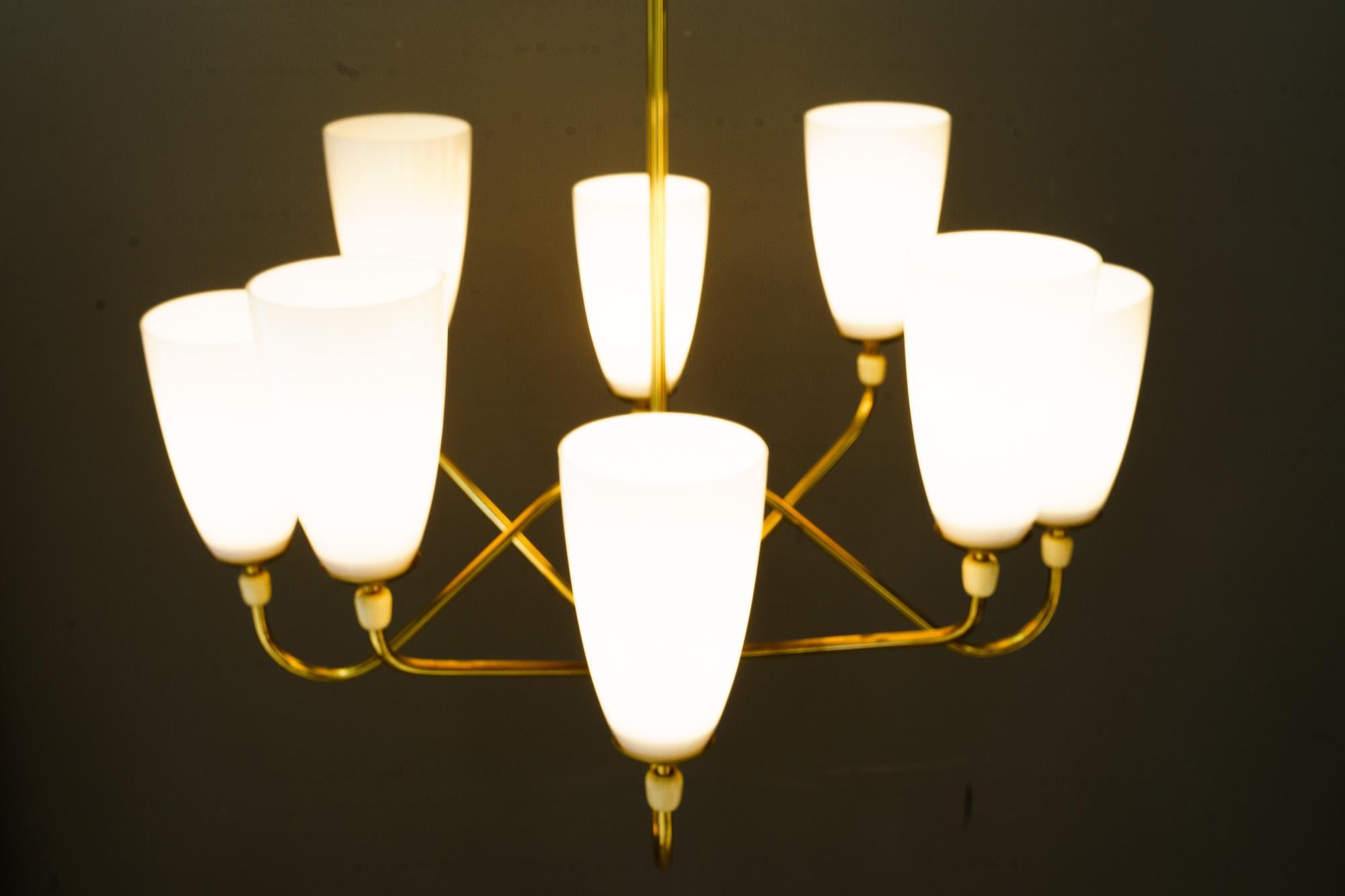 Lampadario a 8 luci Rupert Nikoll Vienna 1960 circa in vendita 6