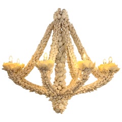 8 Light Shell Encrusted Chandelier