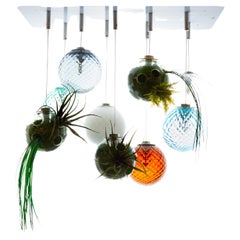 8 lights ceiling chandelier with colored transparent Murano glass spheres