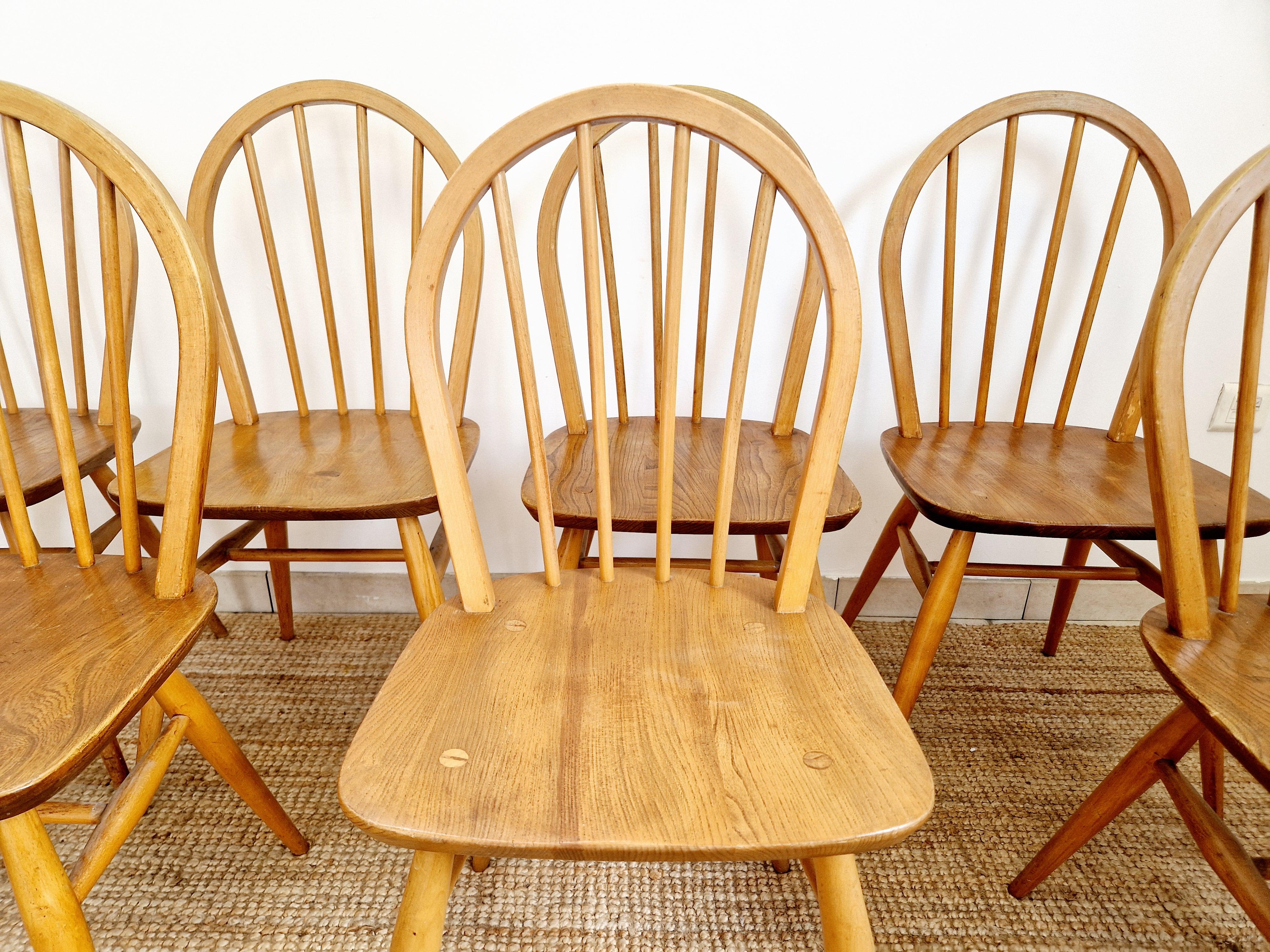 Mid-Century moderno 8 Sedie da pranzo Ercol Windsor del metà del secolo scorso in vendita
