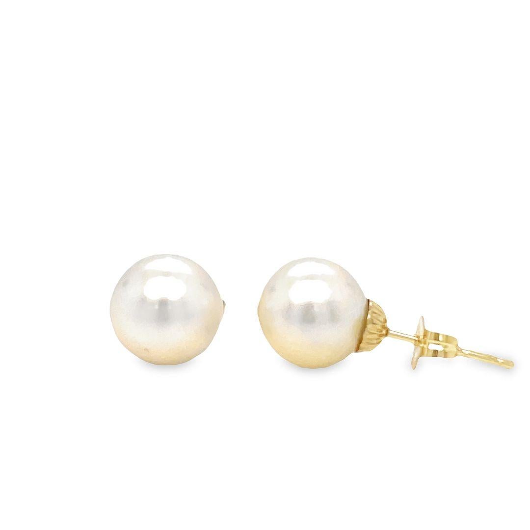 Round Cut 8 mm White Freshwater Round Pearl Stud Earrings in 14K Yellow Gold For Sale