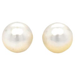 8 mm White Freshwater Round Pearl Stud Earrings in 14K Yellow Gold