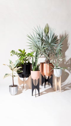 Planter Stand, Natural Birch
