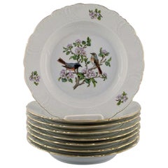 8 Royal Copenhagen "Spring" Deep Plates in Porcelain with Motifs of Birds