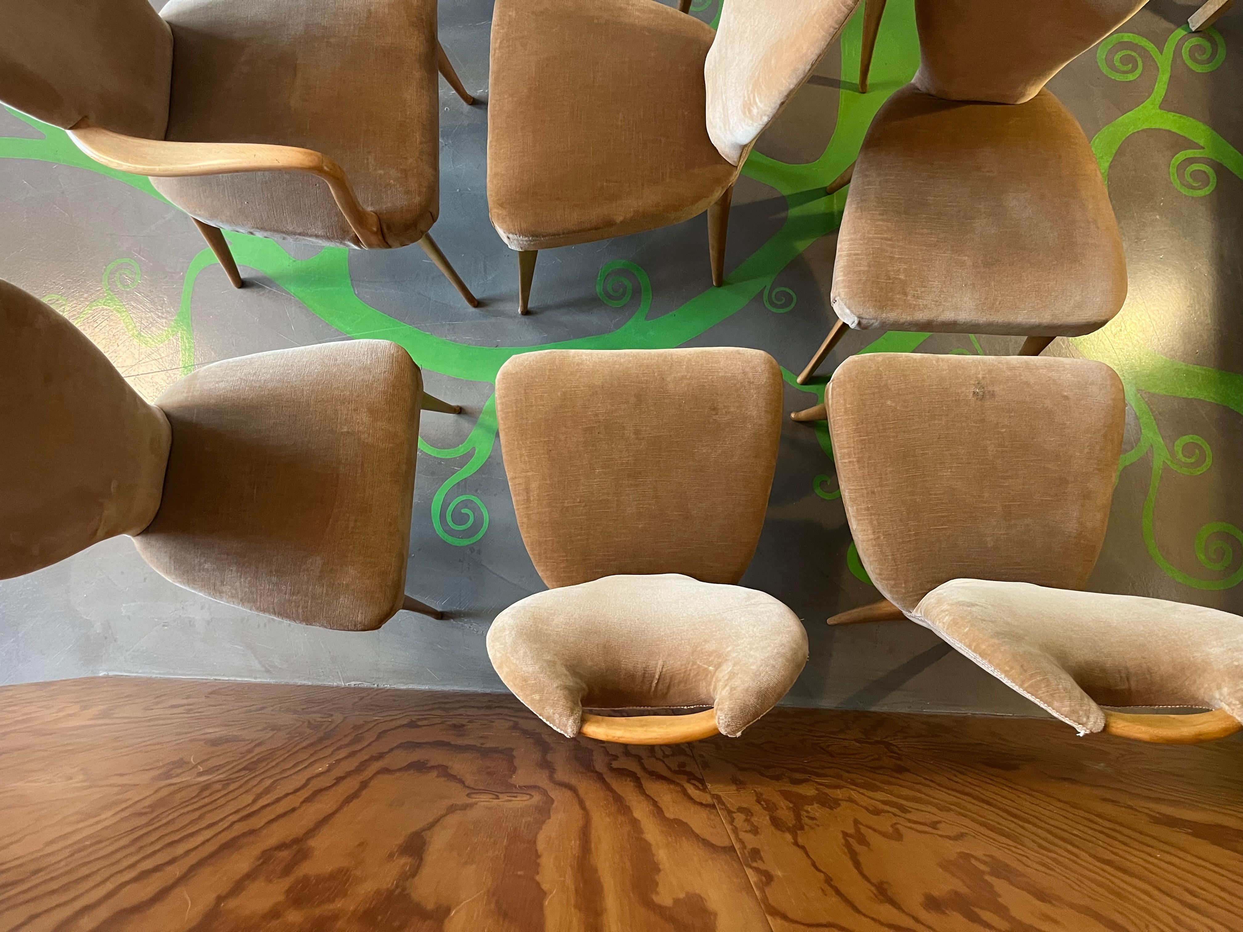 8 wooden and fabric (presumably cotton velvet) chairs dating from the 1960s. 

The chairs are divided into 6 without armrests (h. 94) and 2 with armrests (h.97) and are all made of beech wood and beige fabric. All present the padding in very good