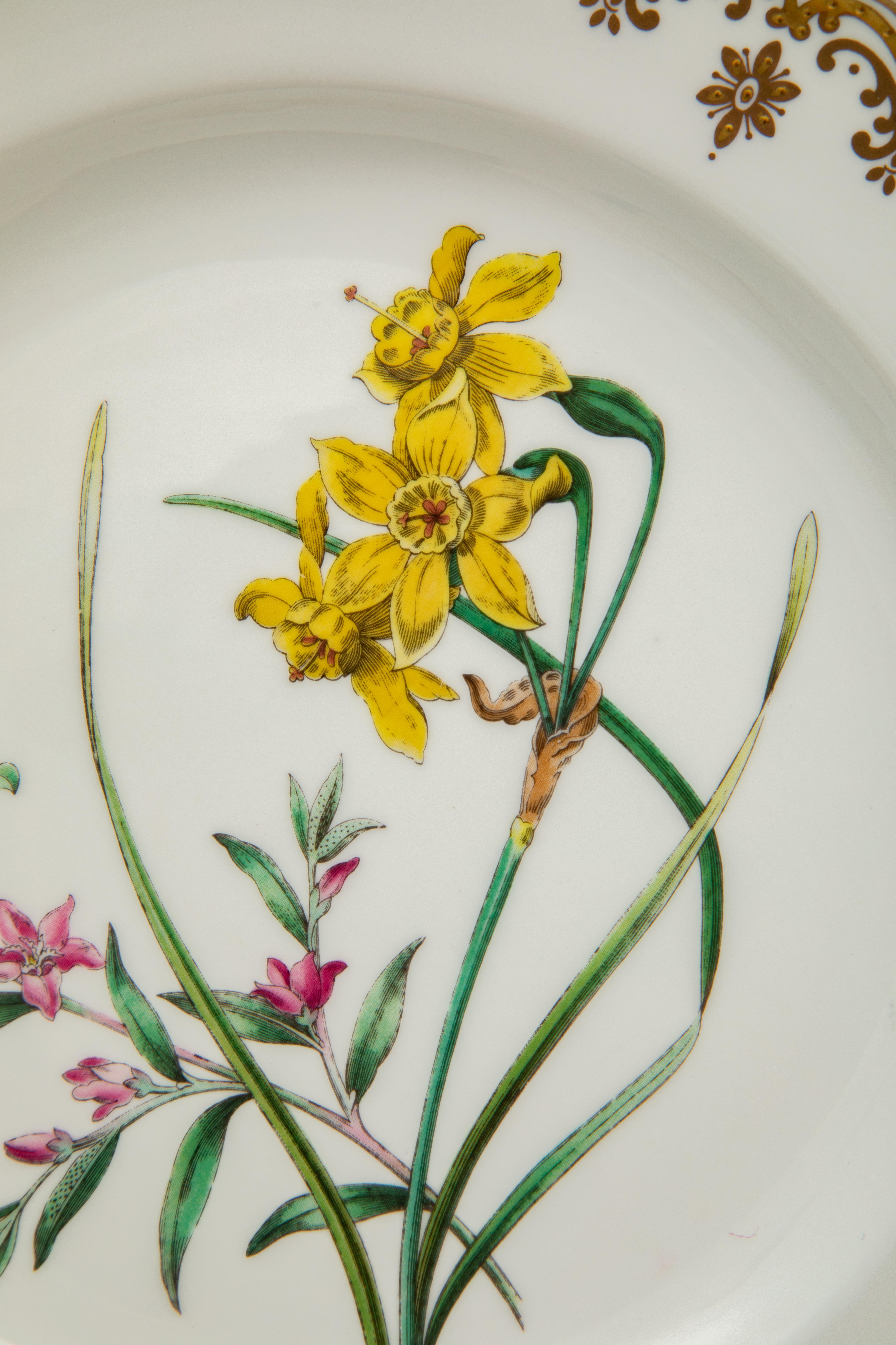 From one of England's storied porcelain factories: Spode. This classic and elegant pattern 