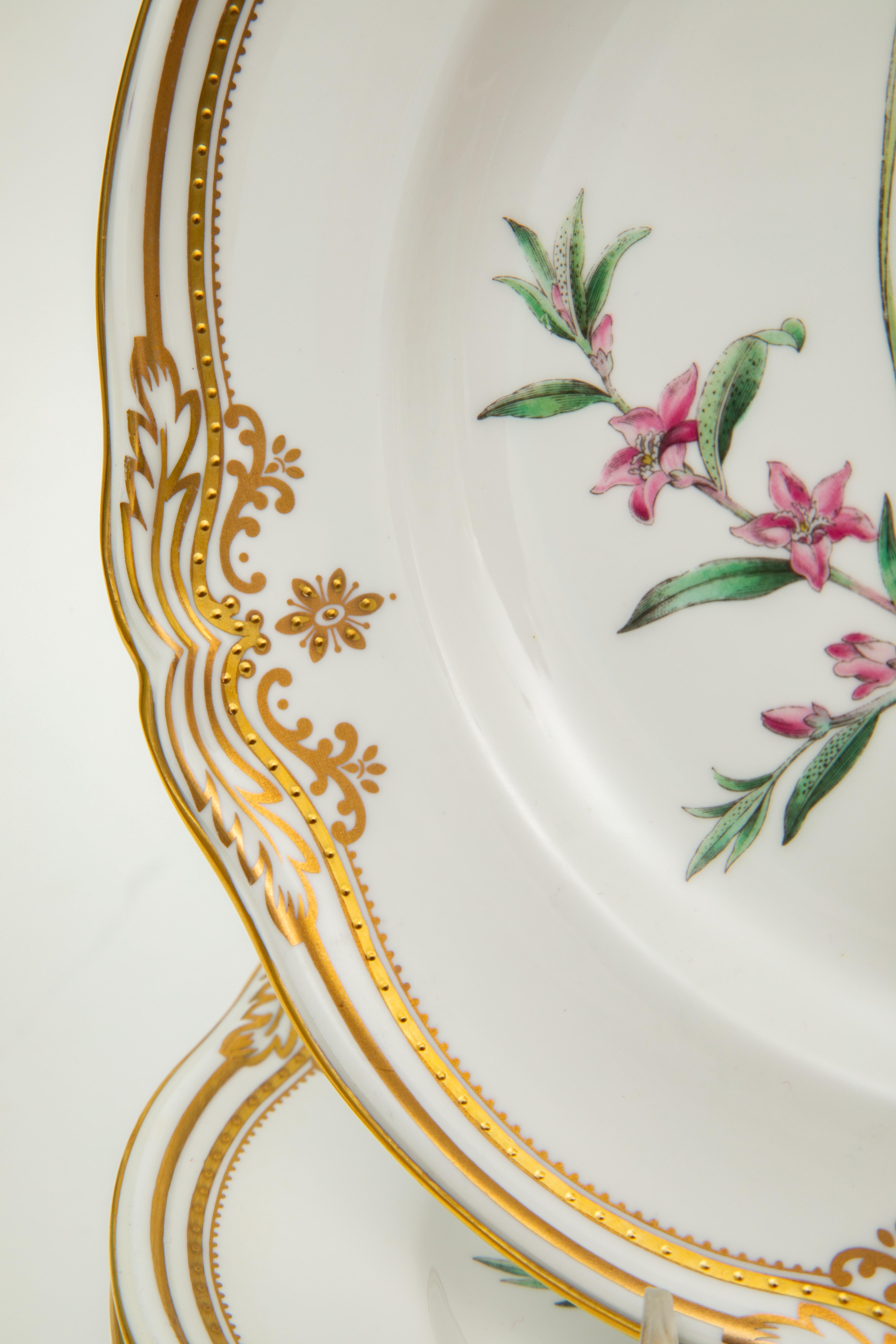 British 8 Spode Stafford Flowers Lunch or First Course Plates. Gorgeous Flowers