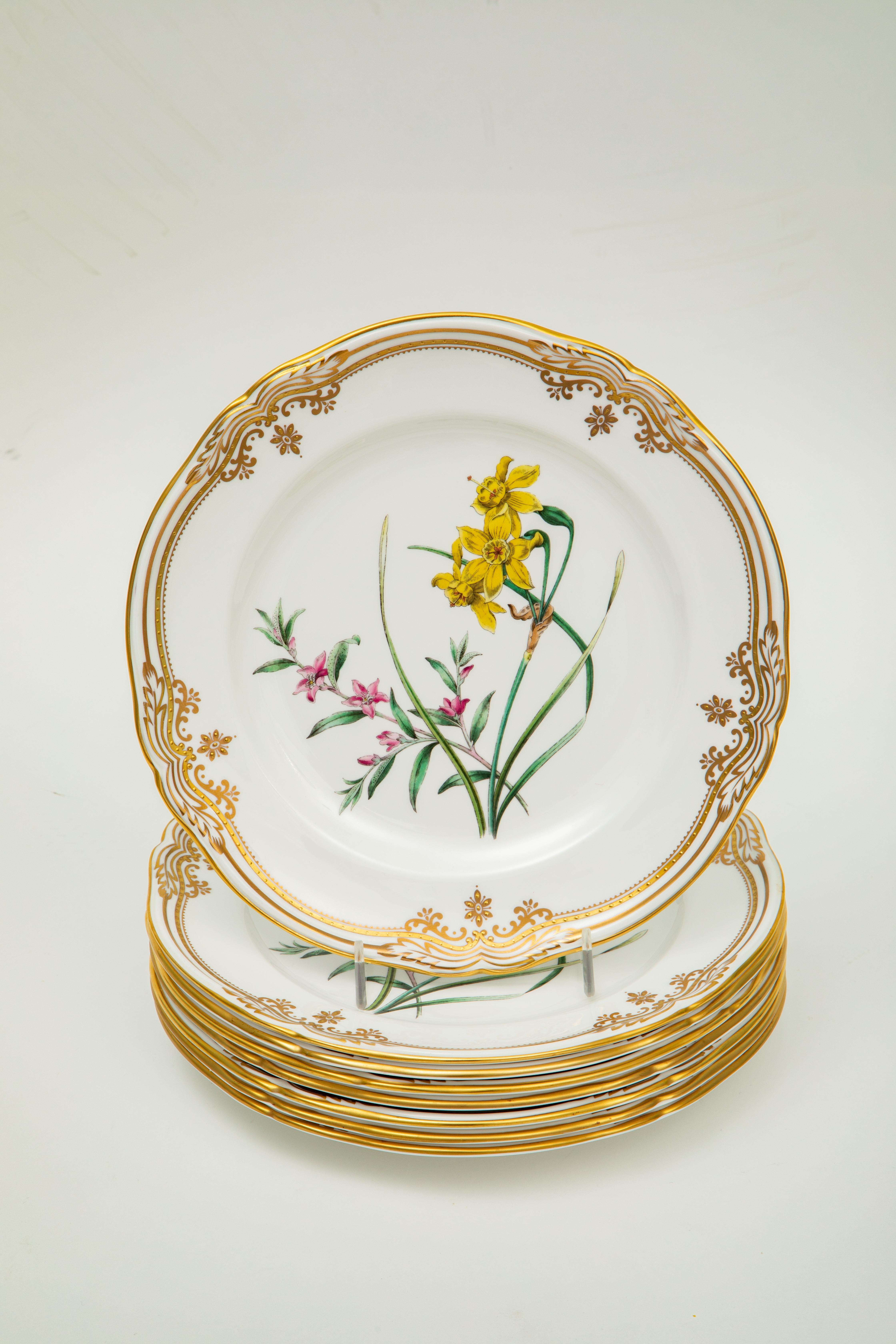 Hand-Crafted 8 Spode Stafford Flowers Lunch or First Course Plates. Gorgeous Flowers