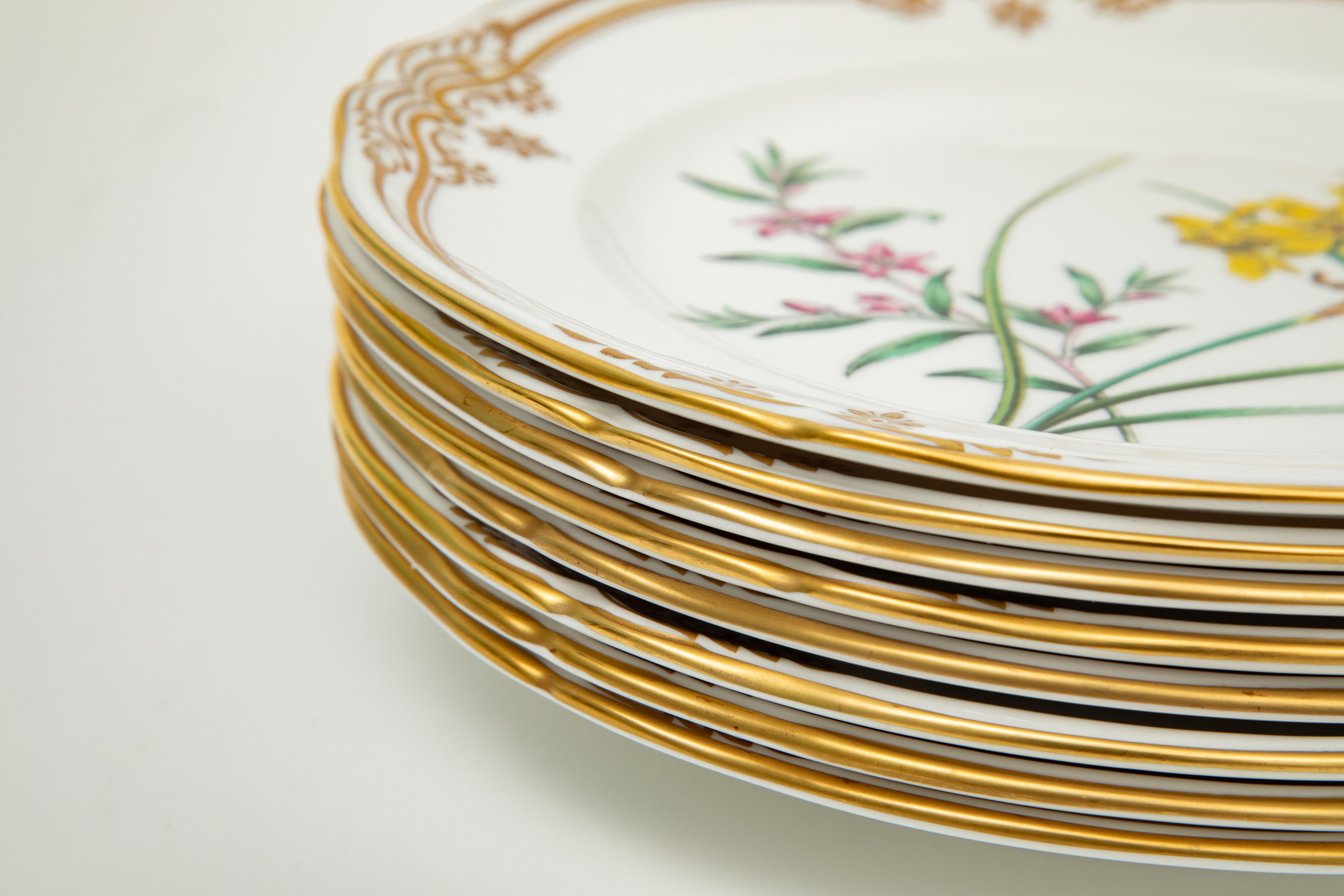 Gold 8 Spode Stafford Flowers Lunch or First Course Plates. Gorgeous Flowers