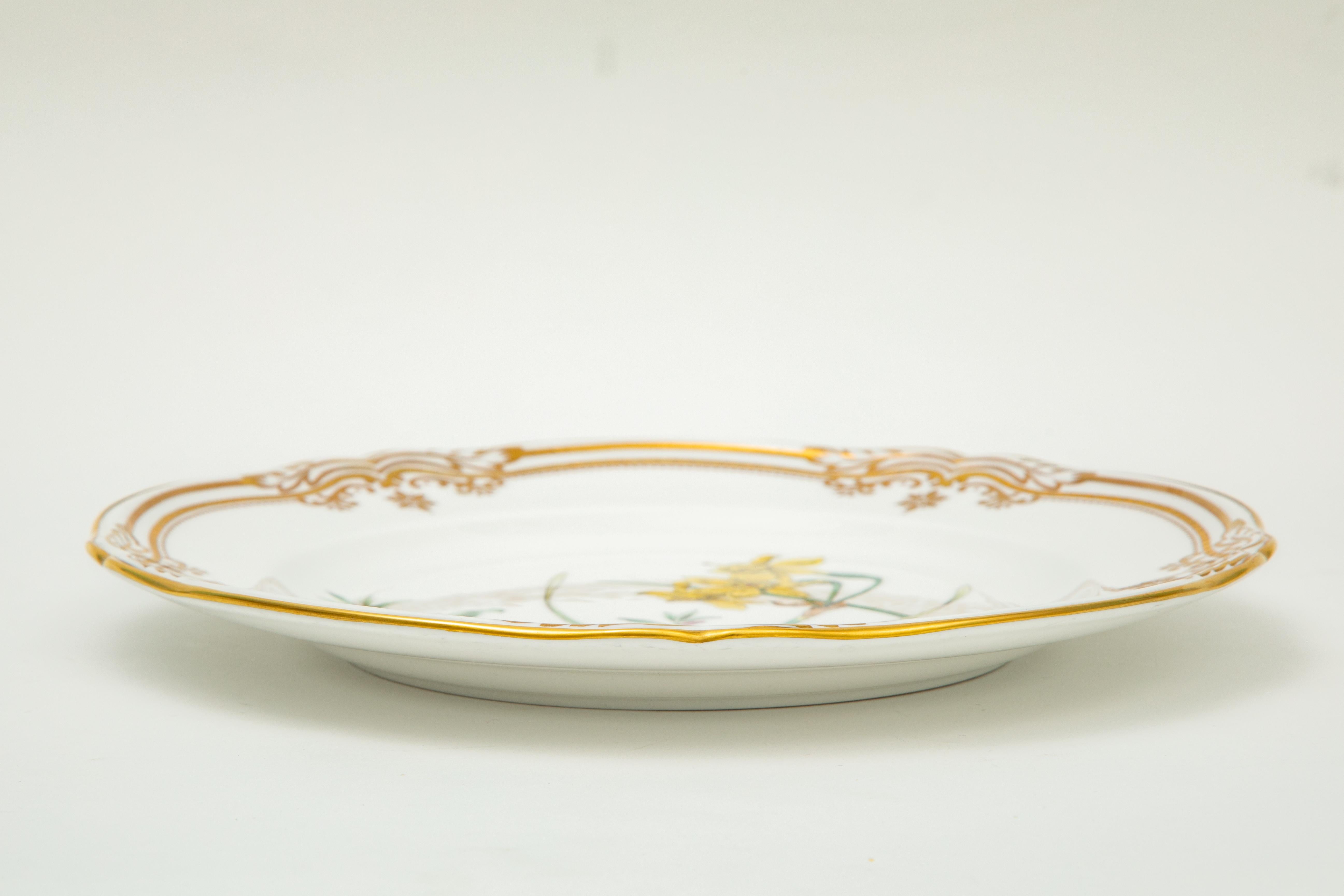 8 Spode Stafford Flowers Lunch or First Course Plates. Gorgeous Flowers 1