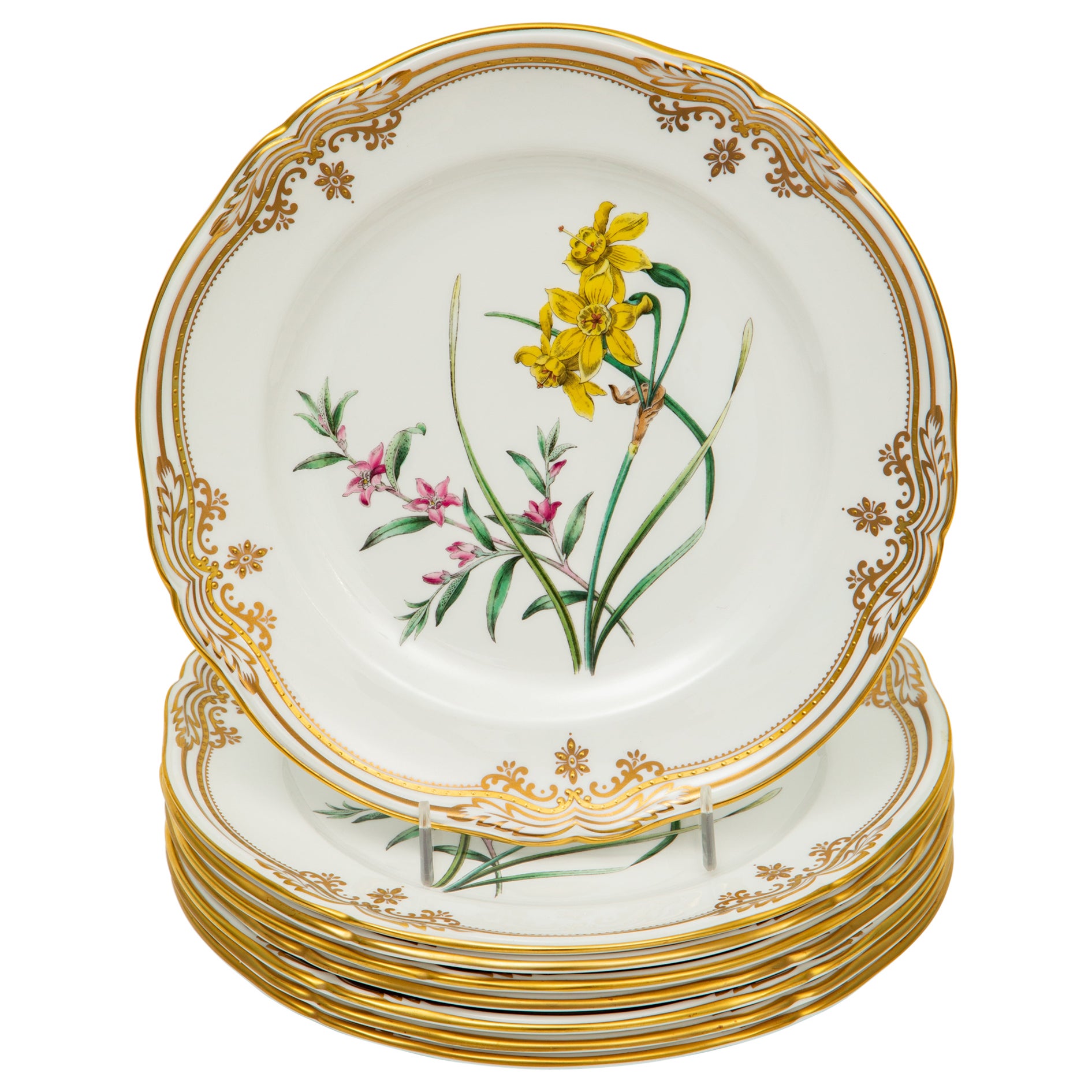 8 Spode Stafford Flowers Lunch or First Course Plates. Gorgeous Flowers