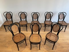 8 Viennese Chairs N.33 by J & J Kohn, 1900s