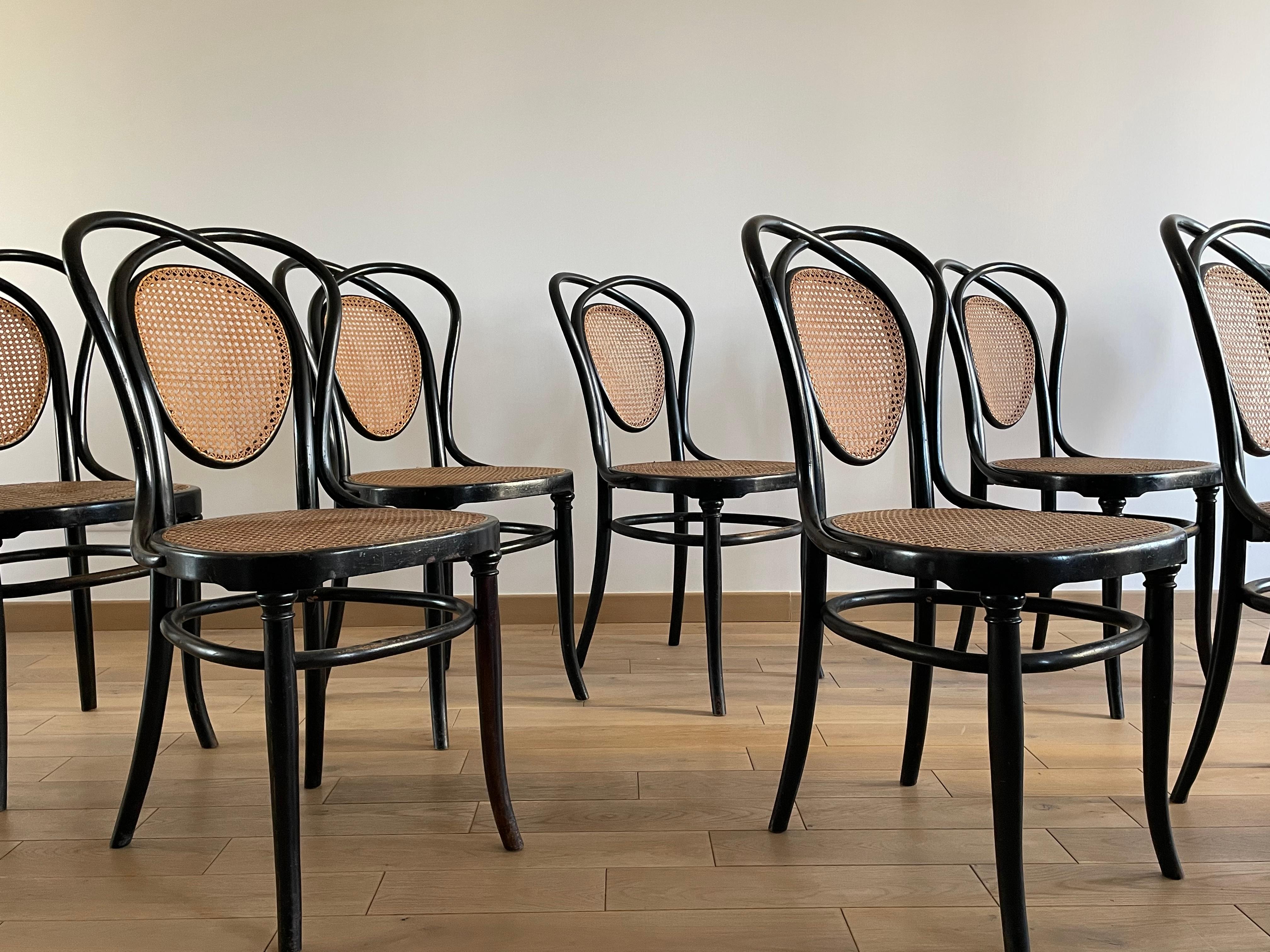 8 Viennese Chairs N.33 by J & J Kohn, 1900s For Sale 2