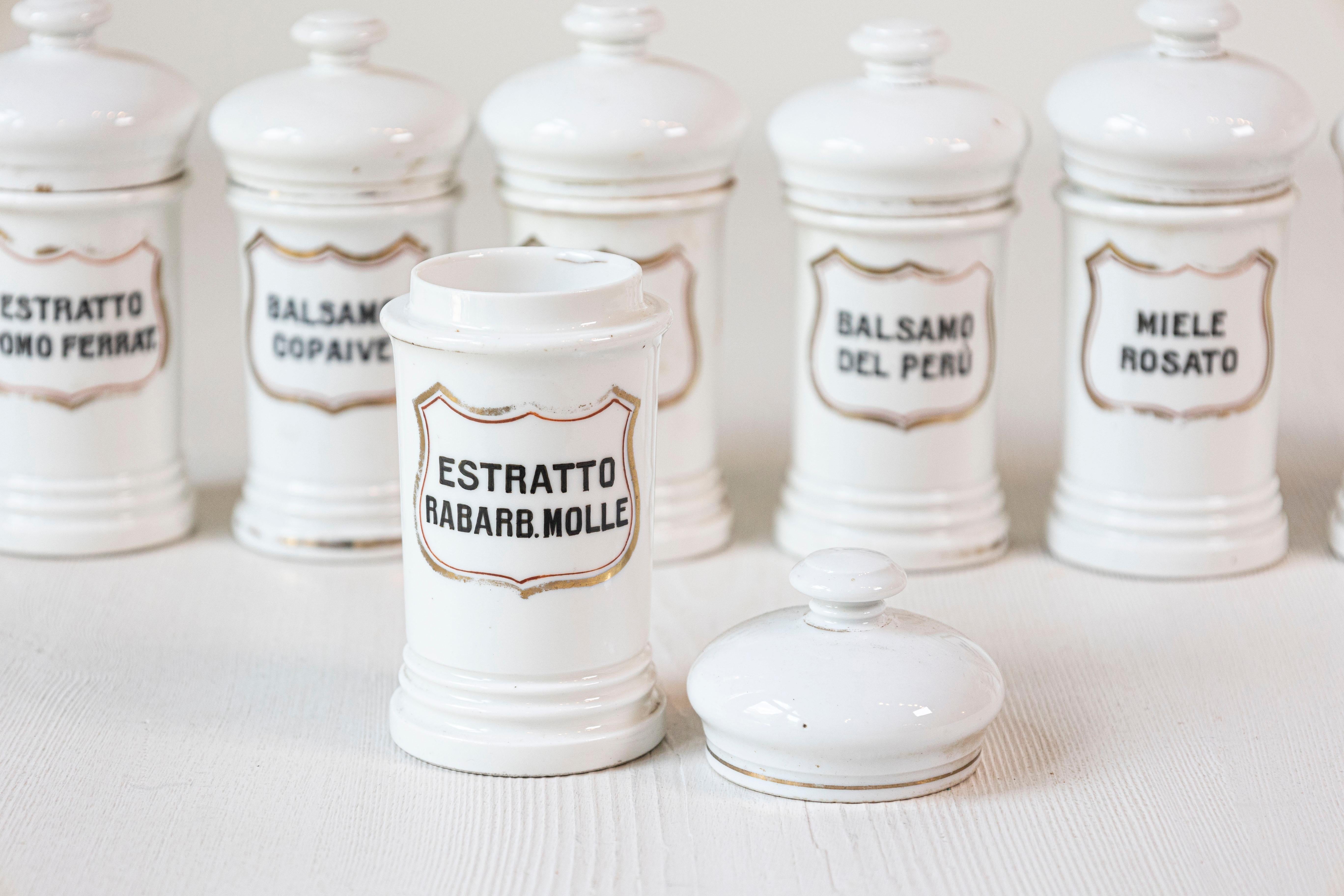 This collection of 8 vintage Italian porcelain pharmacy jars showcases timeless elegance and functionality. Each jar is crafted from glazed white porcelain, featuring a cylindrical shape with a domed lid for secure storage. The jars are adorned with