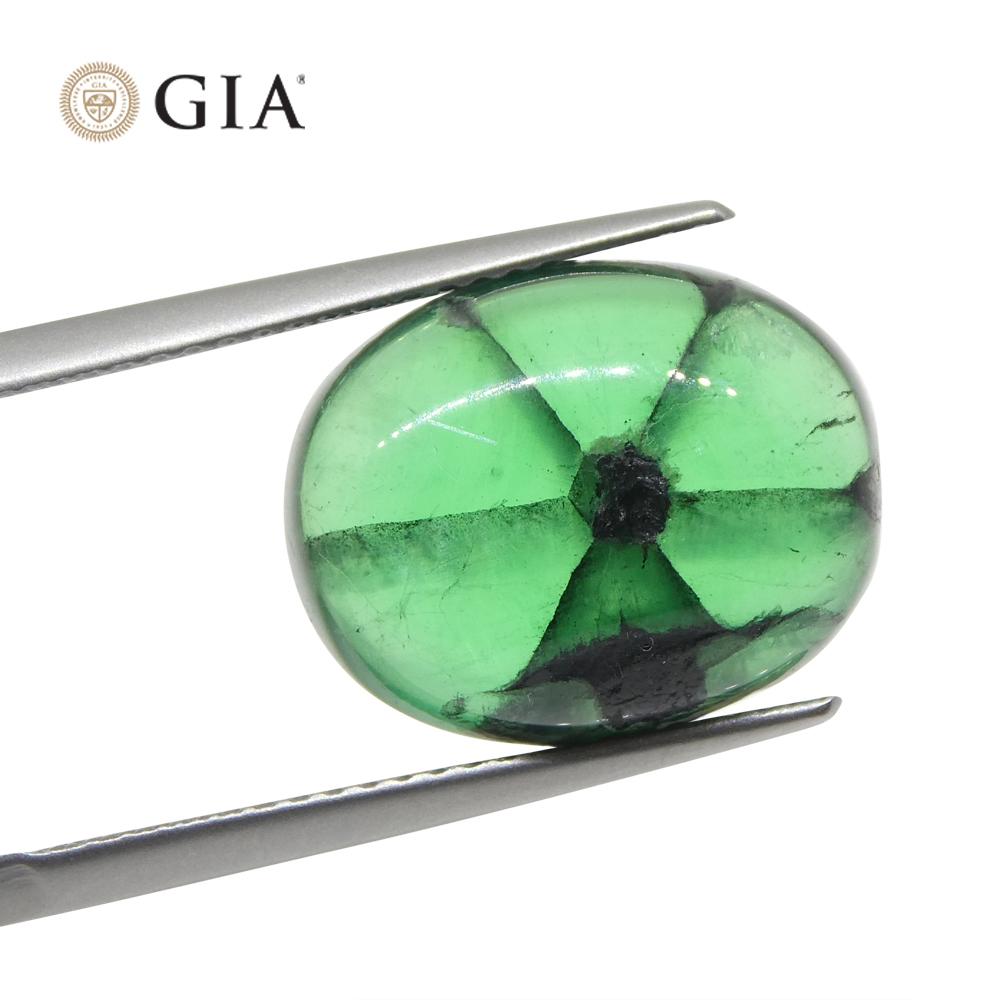 8.08ct Oval Green And Black Trapiche Emerald GIA Certified Colombia For Sale 8