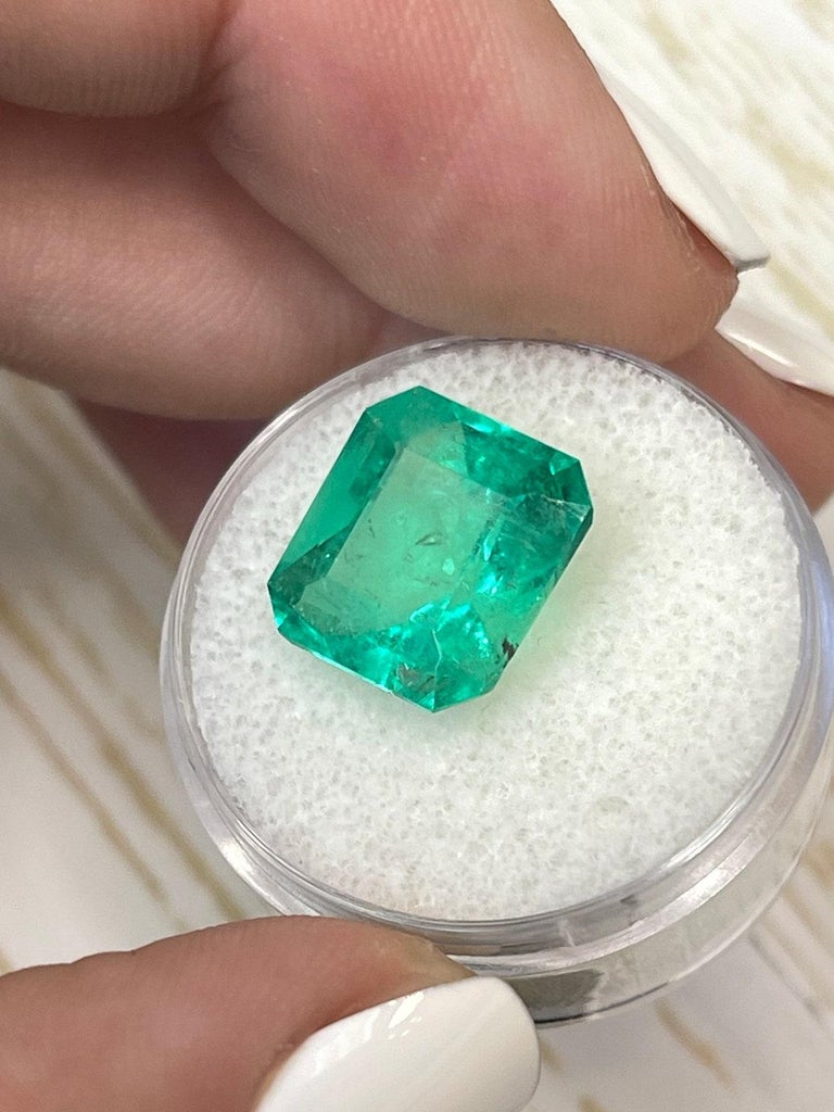 Émeraude Verte Naturelle De Colombie - 8-10 Carats, Taillée Octogone - Certifiée GGL - Fortement Incluse - Inde