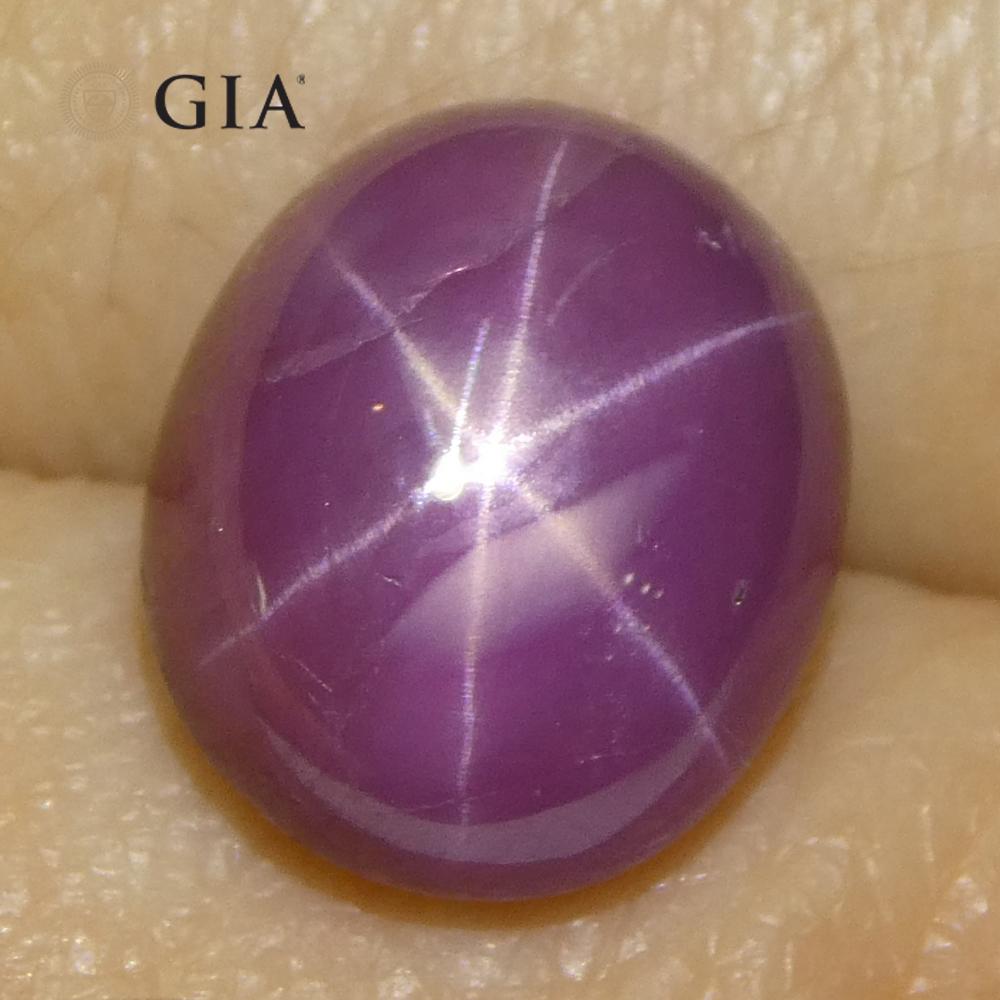 Rubí estrella rojo violáceo ovalado de 8,12 ct Certificado GIA Vietnam sin calentar en venta 2
