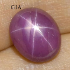 8.12ct Oval Purplish Red Star Ruby GIA Certified Vietnam Unheated