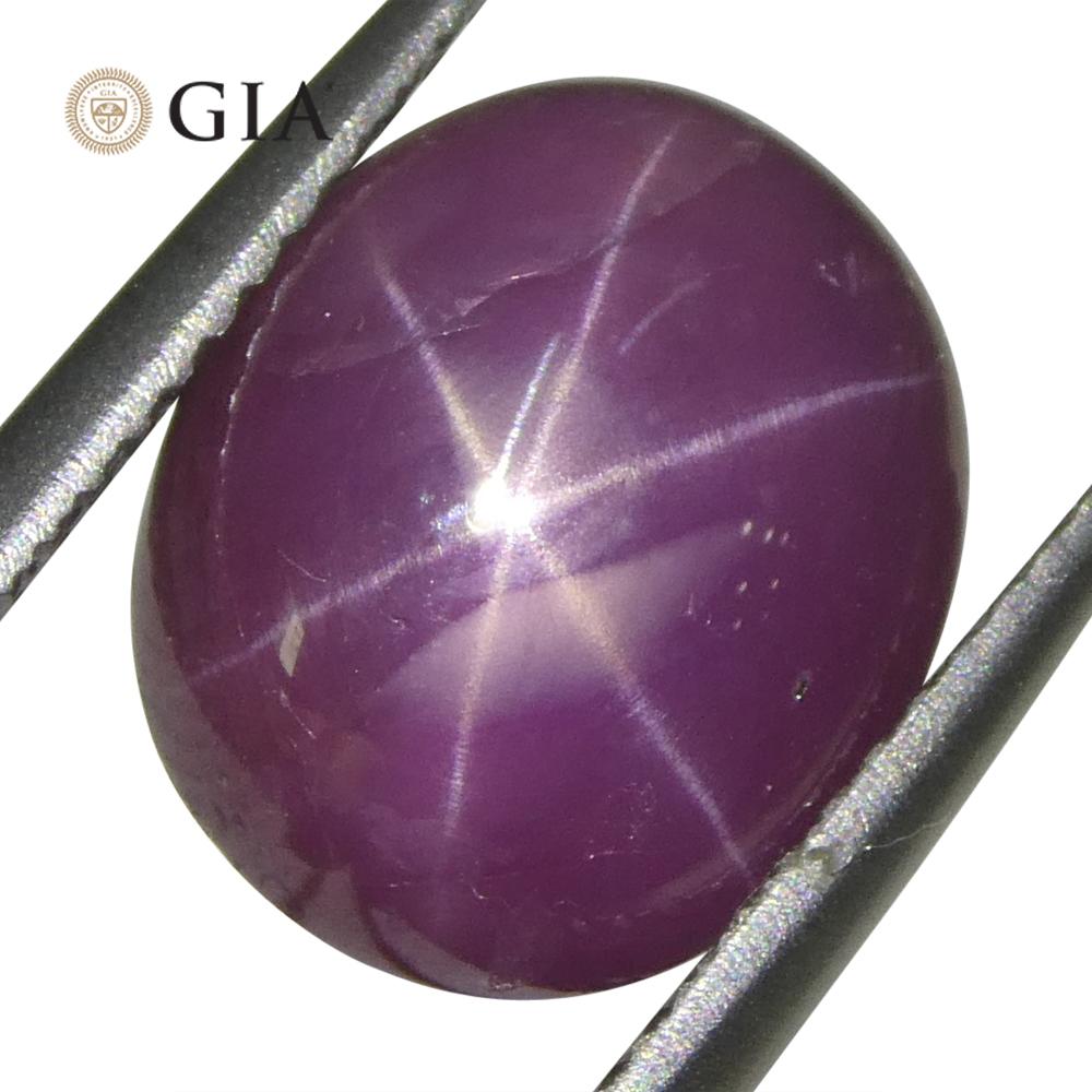 Femenino o masculino Rubí estrella rojo violáceo ovalado de 8,12 ct Certificado GIA Vietnam sin calentar en venta