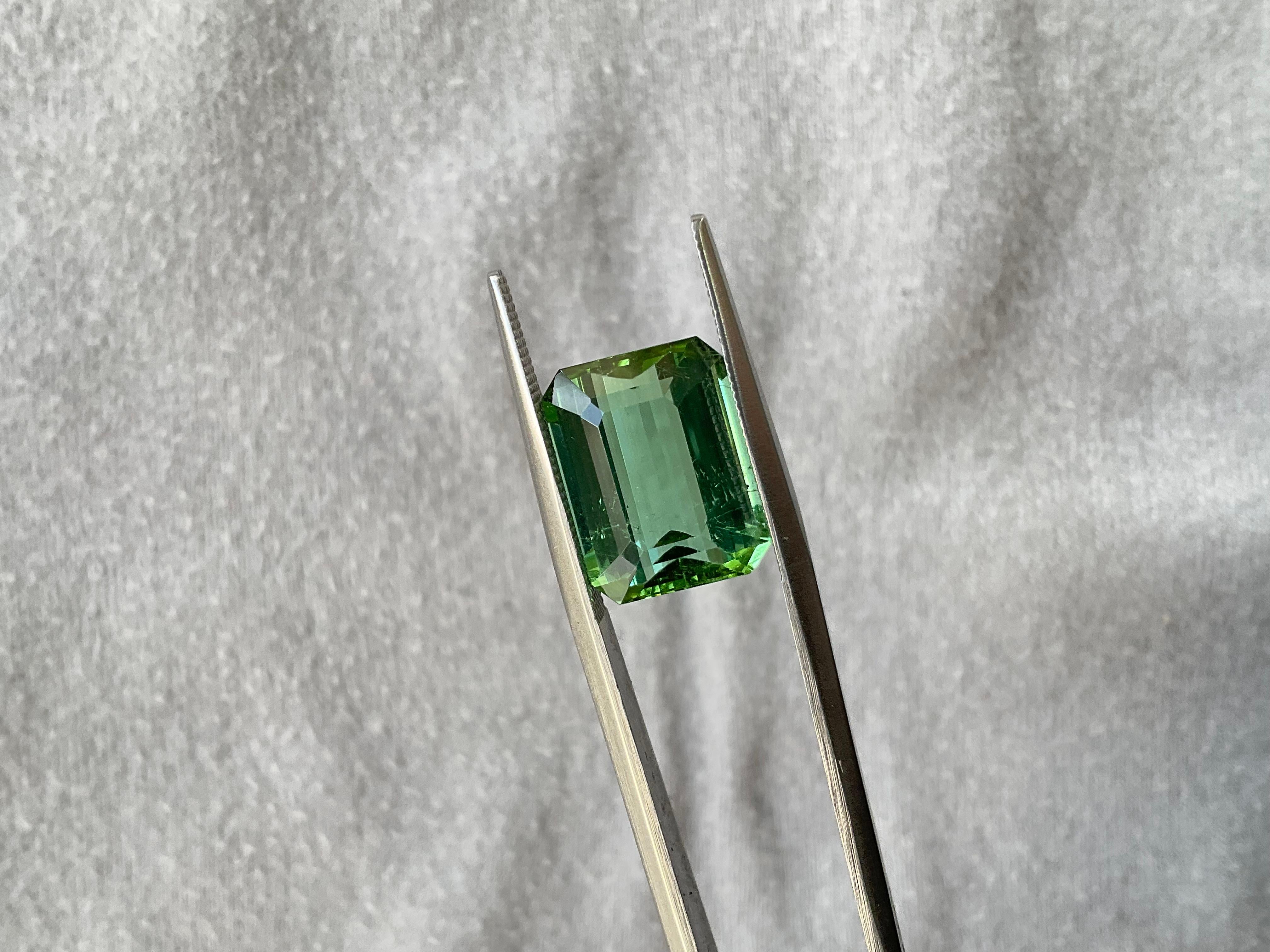Pierre naturelle de taille supérieure, tourmaline verte octogonale facettée de 8.15 carats en vente 1