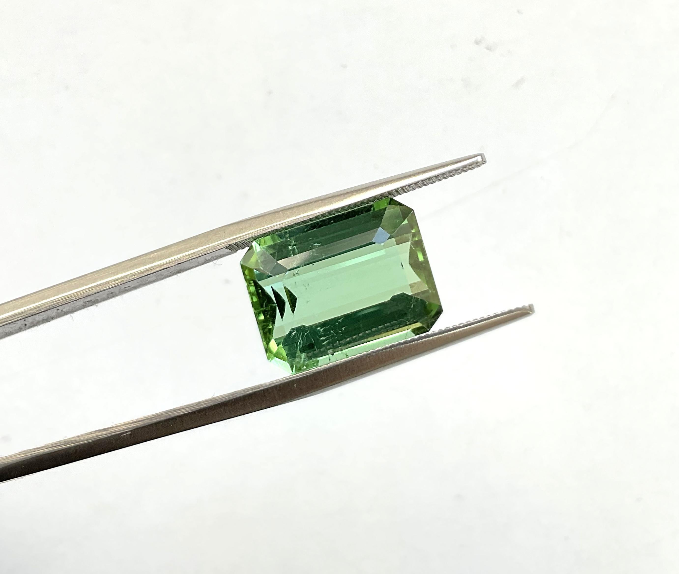 Pierre naturelle de taille supérieure, tourmaline verte octogonale facettée de 8.15 carats en vente 2