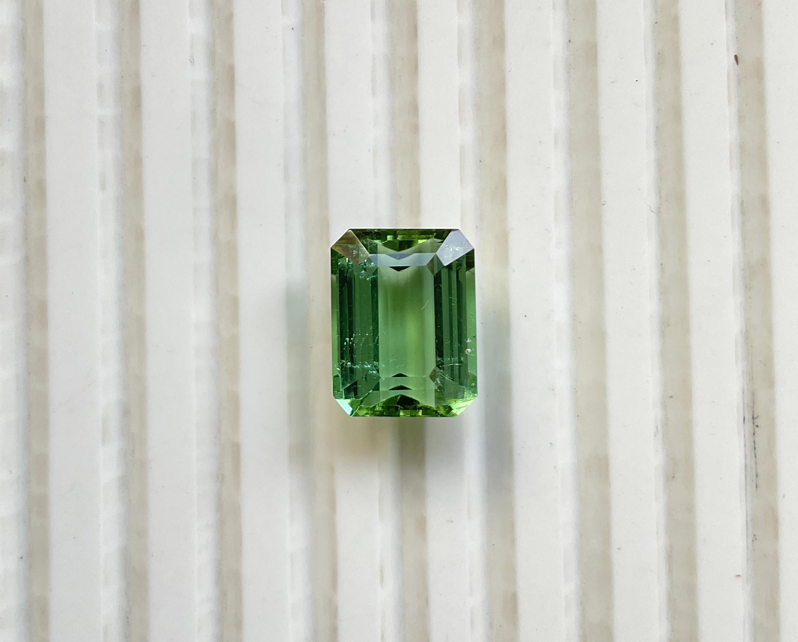 Pierre naturelle de taille supérieure, tourmaline verte octogonale facettée de 8.15 carats en vente 4