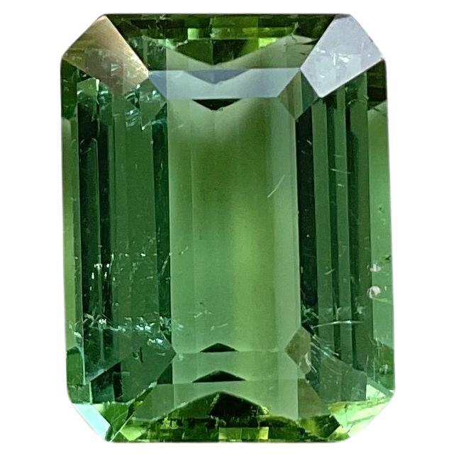 8.15 Carats Green Tourmaline Octagon Faceted Top Quality Cut stone Natural Gem