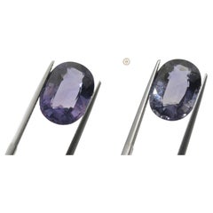 8,16 Karat Oval Grayish Violett bis rosa lila Saphir GIA zertifiziert