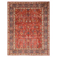 8
1 "x9
9" Rojo Baya Pura Lana Anudada a Mano Bijar Garus Diseño Alfombra Grado Aryana